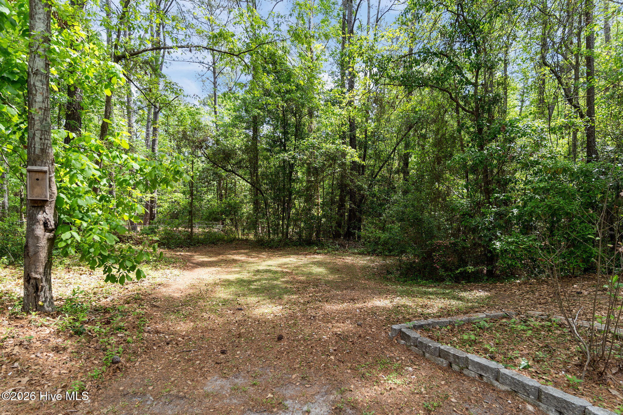 100568125 | Photo 44