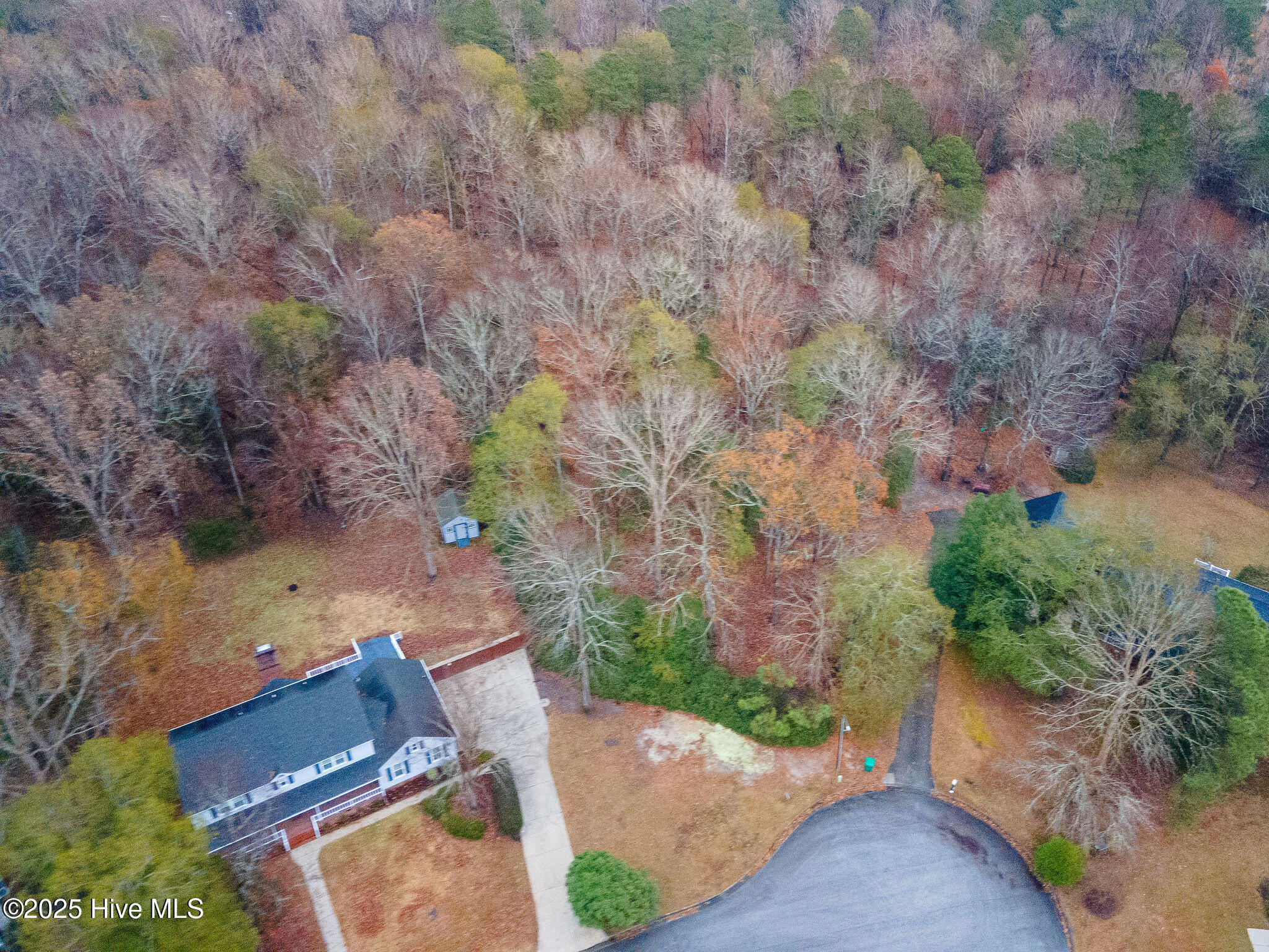 100544373 | Photo 11