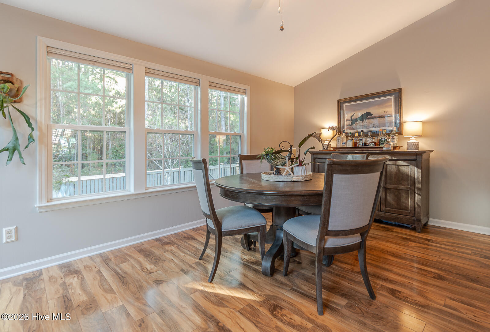 100558017 | Photo 19