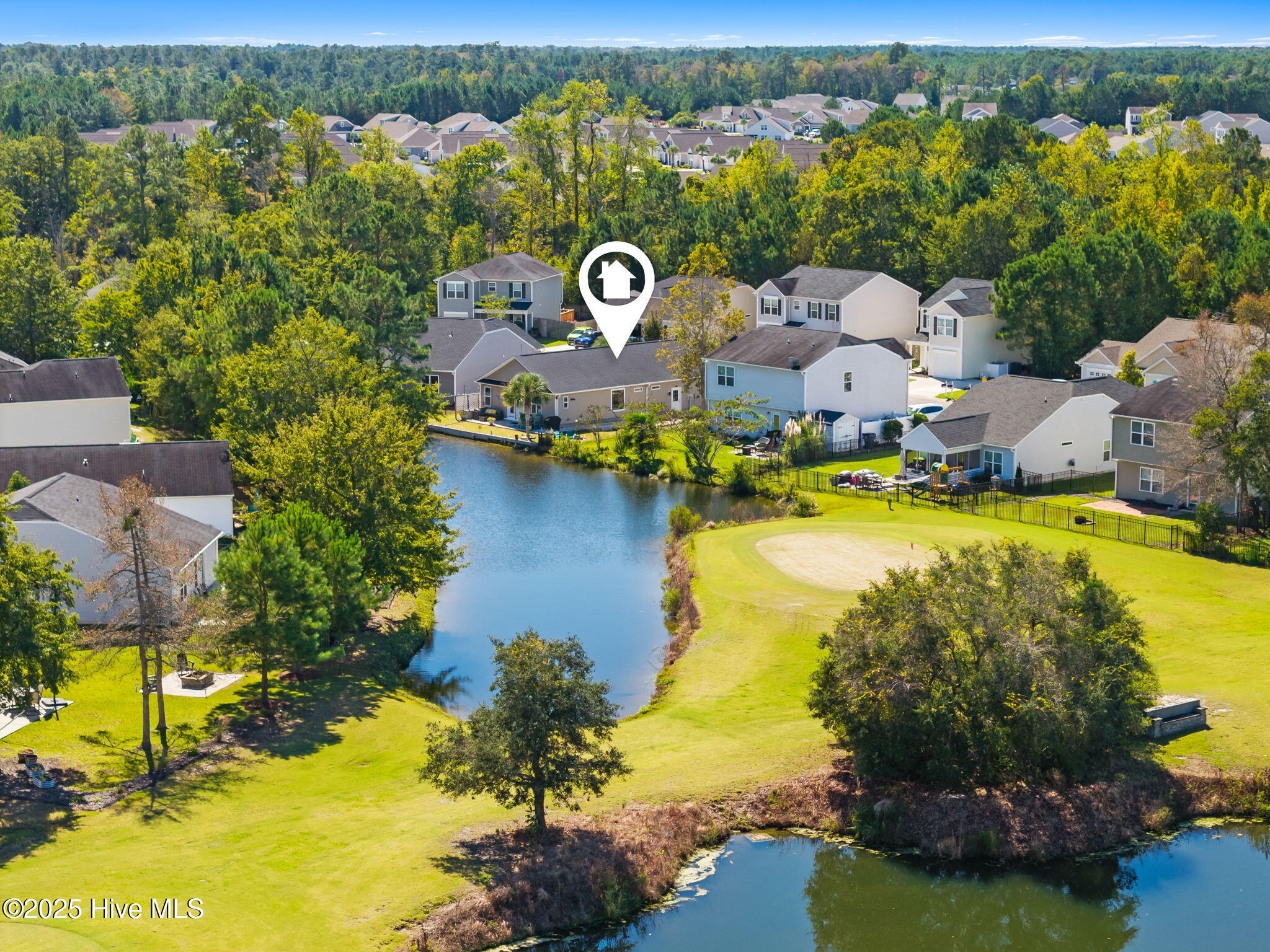 100536893 | Photo 44