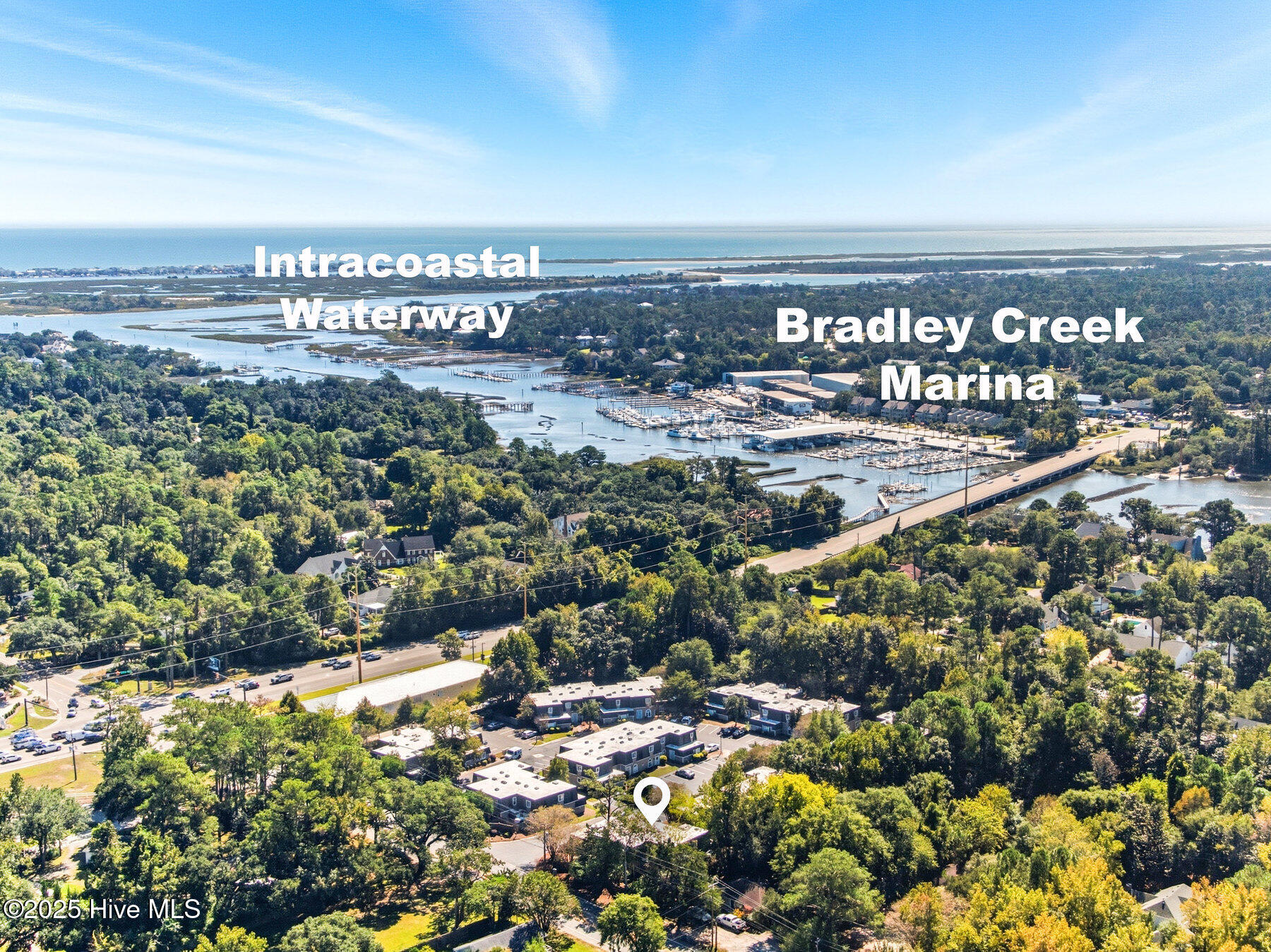 100532478 | Photo 30