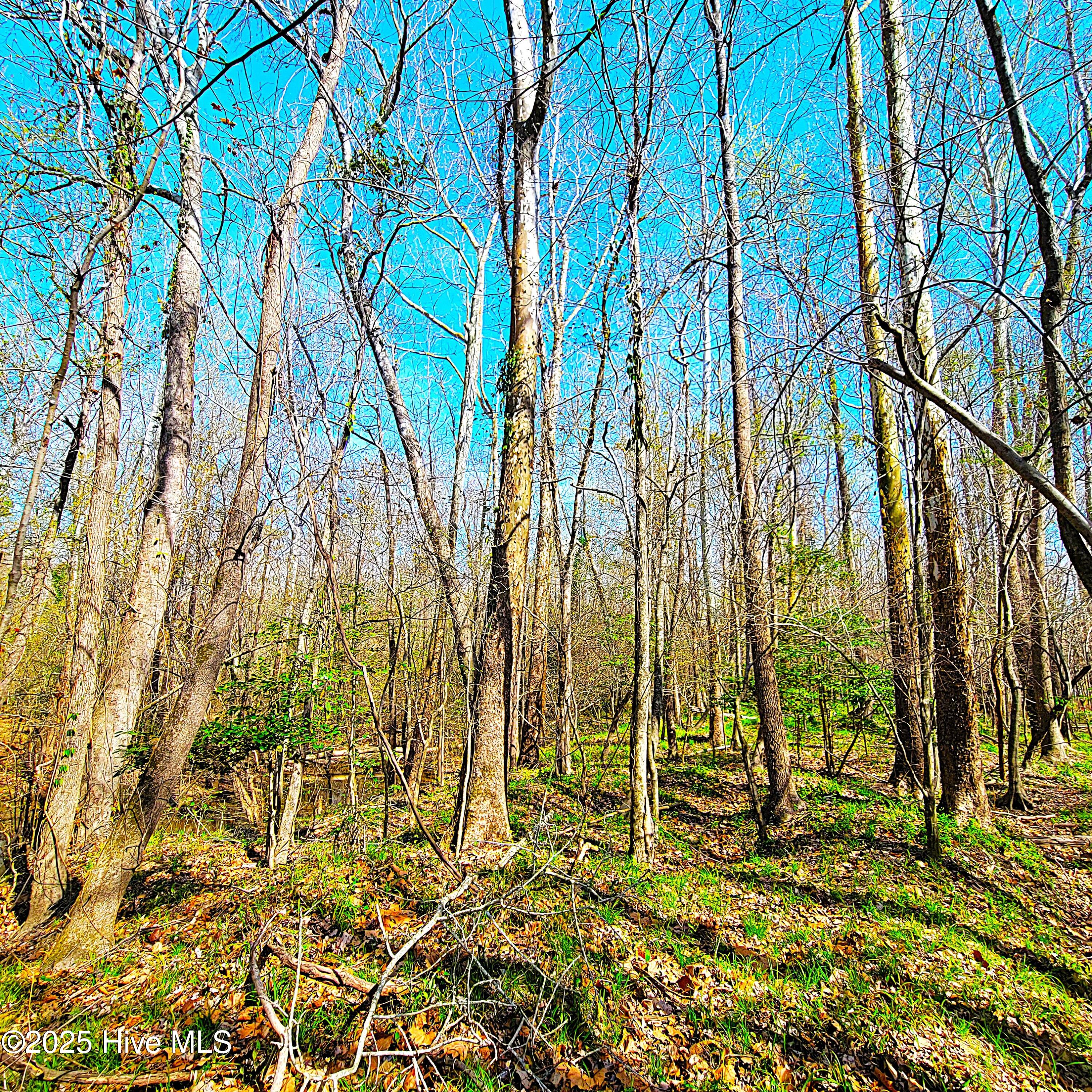 100496184 | Photo 14