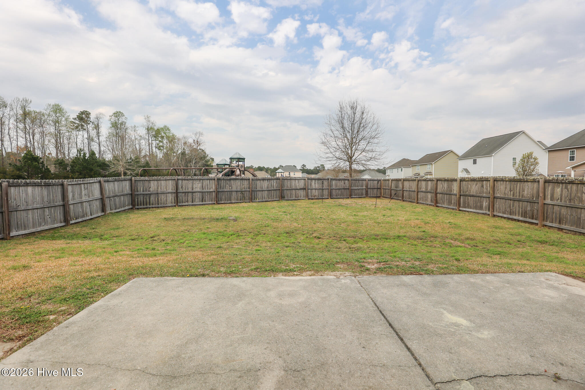 100562505 | Photo 36