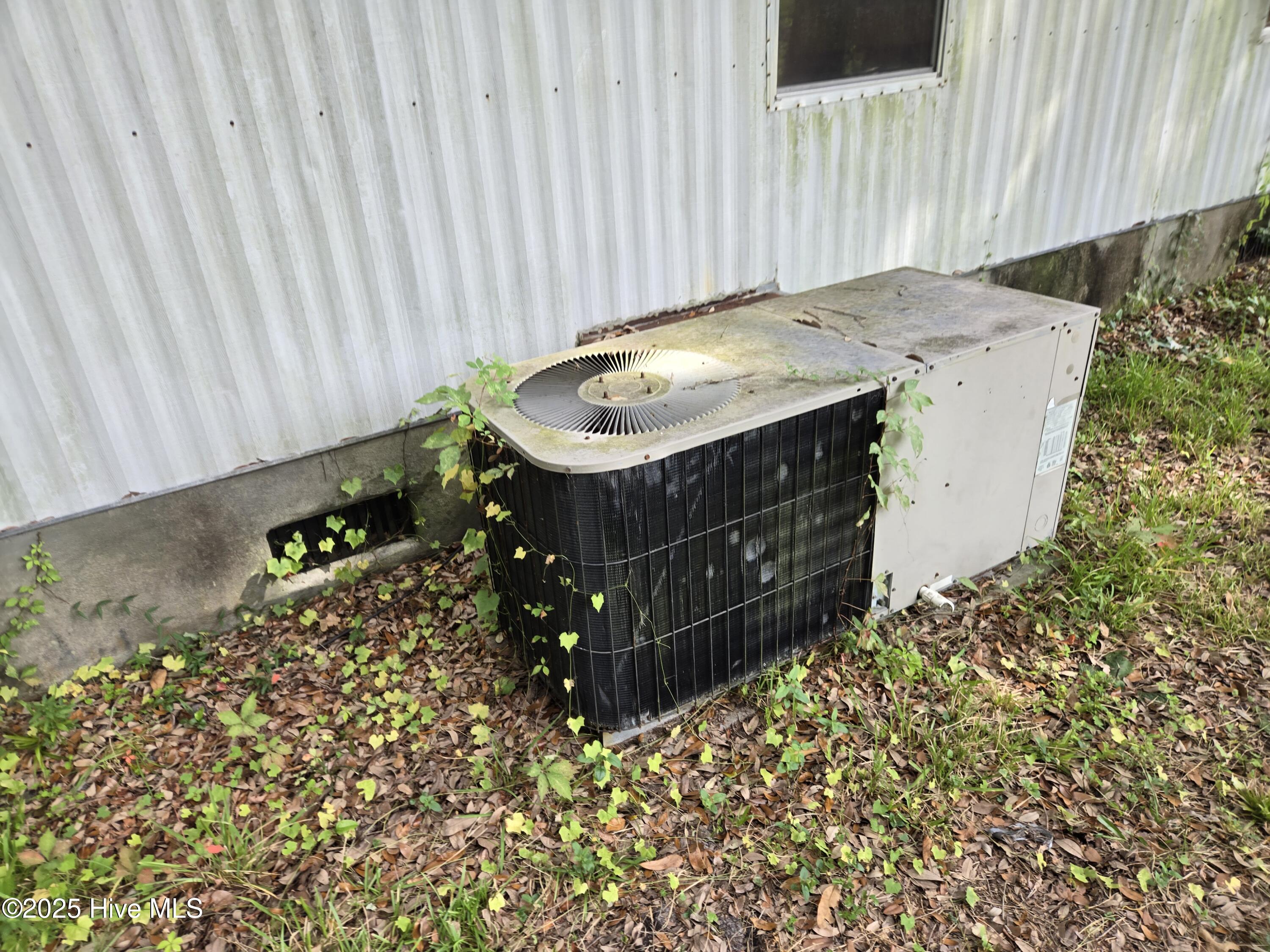 100531418 | Photo 34