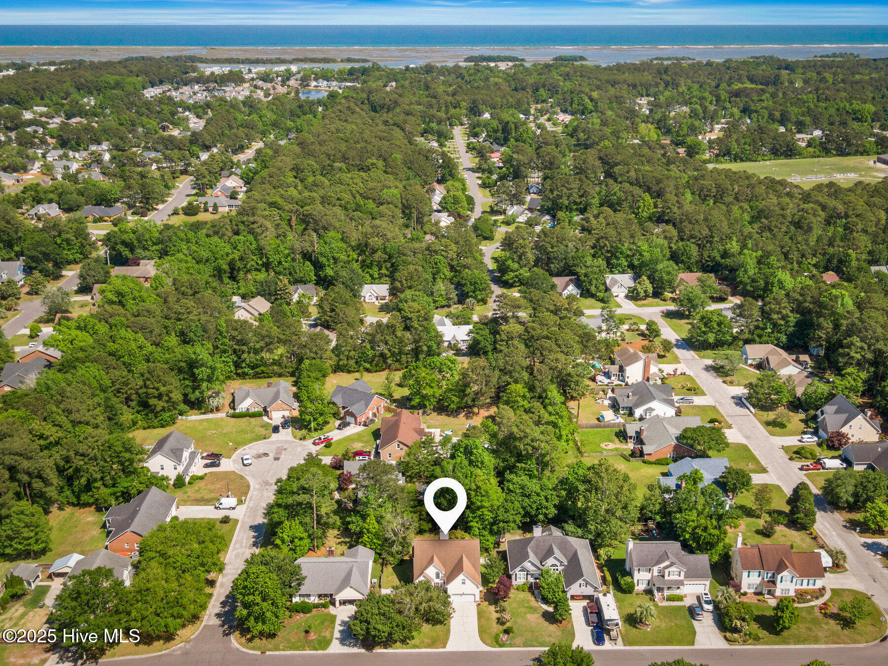 100505996 | Photo 39