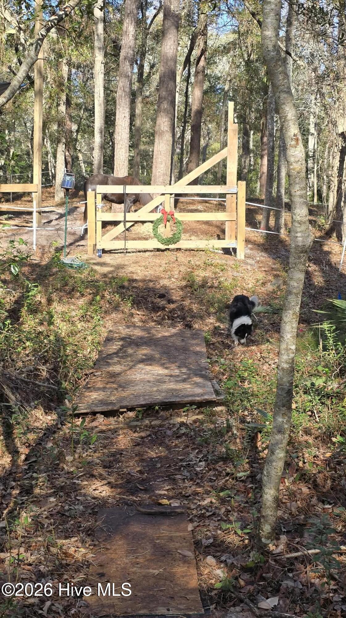 100547303 | Photo 70