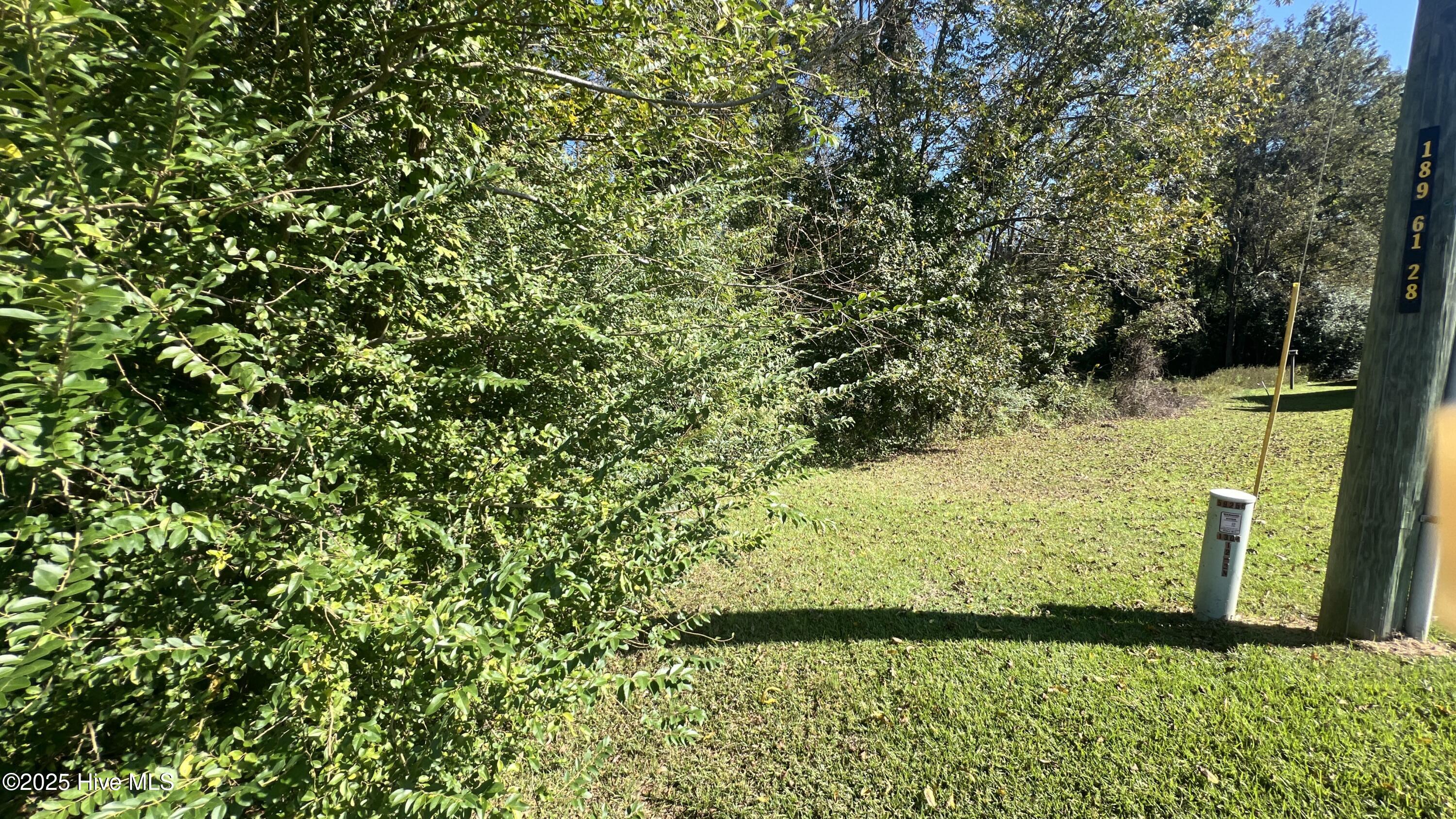 100505781 | Photo 32