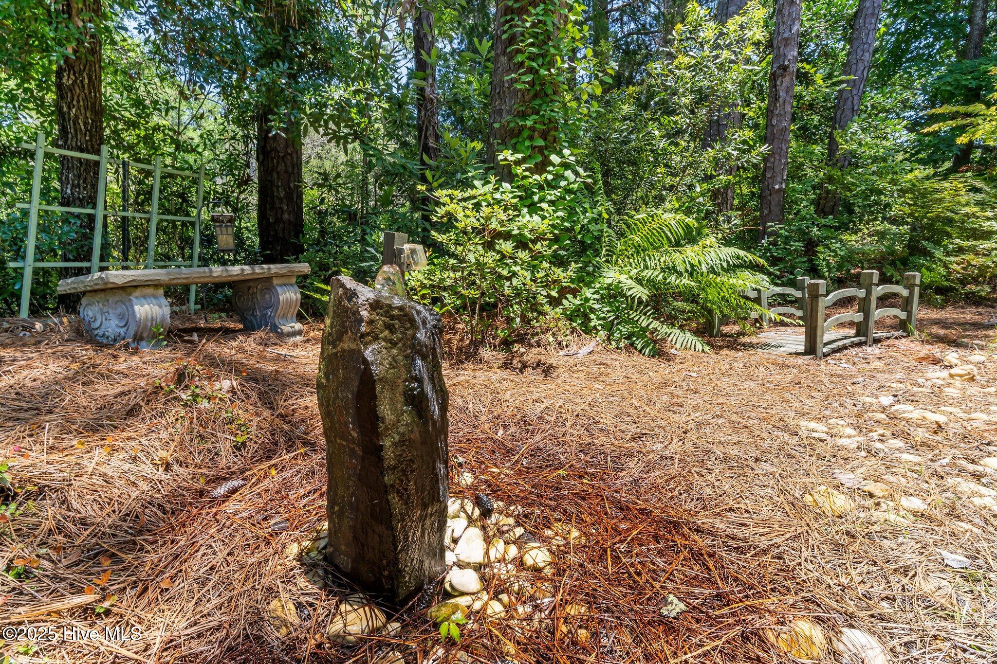 100513257 | Photo 61