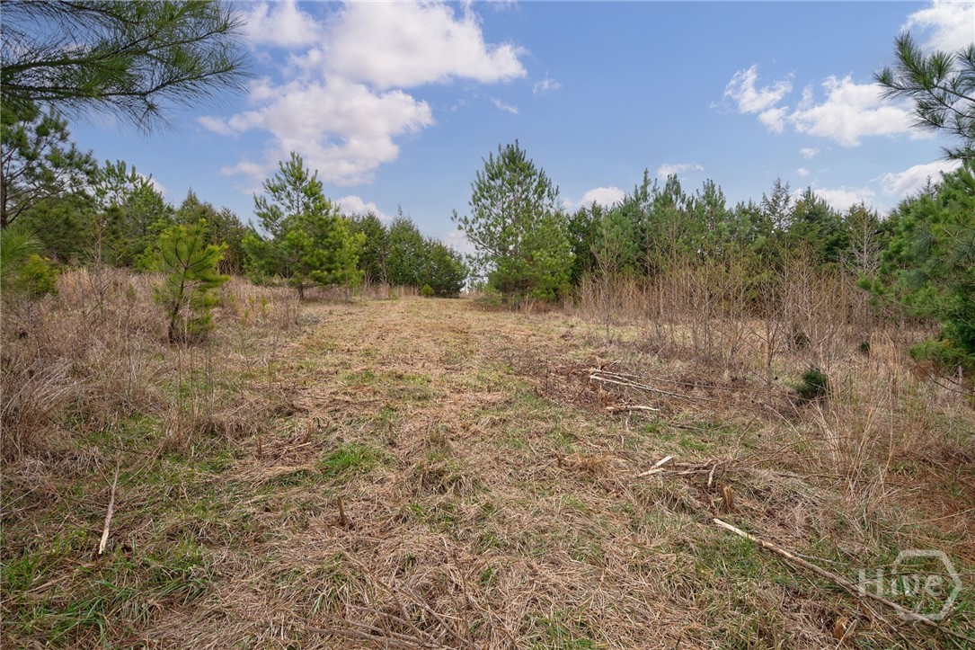 Property at Tract 1-A High Shoals Road