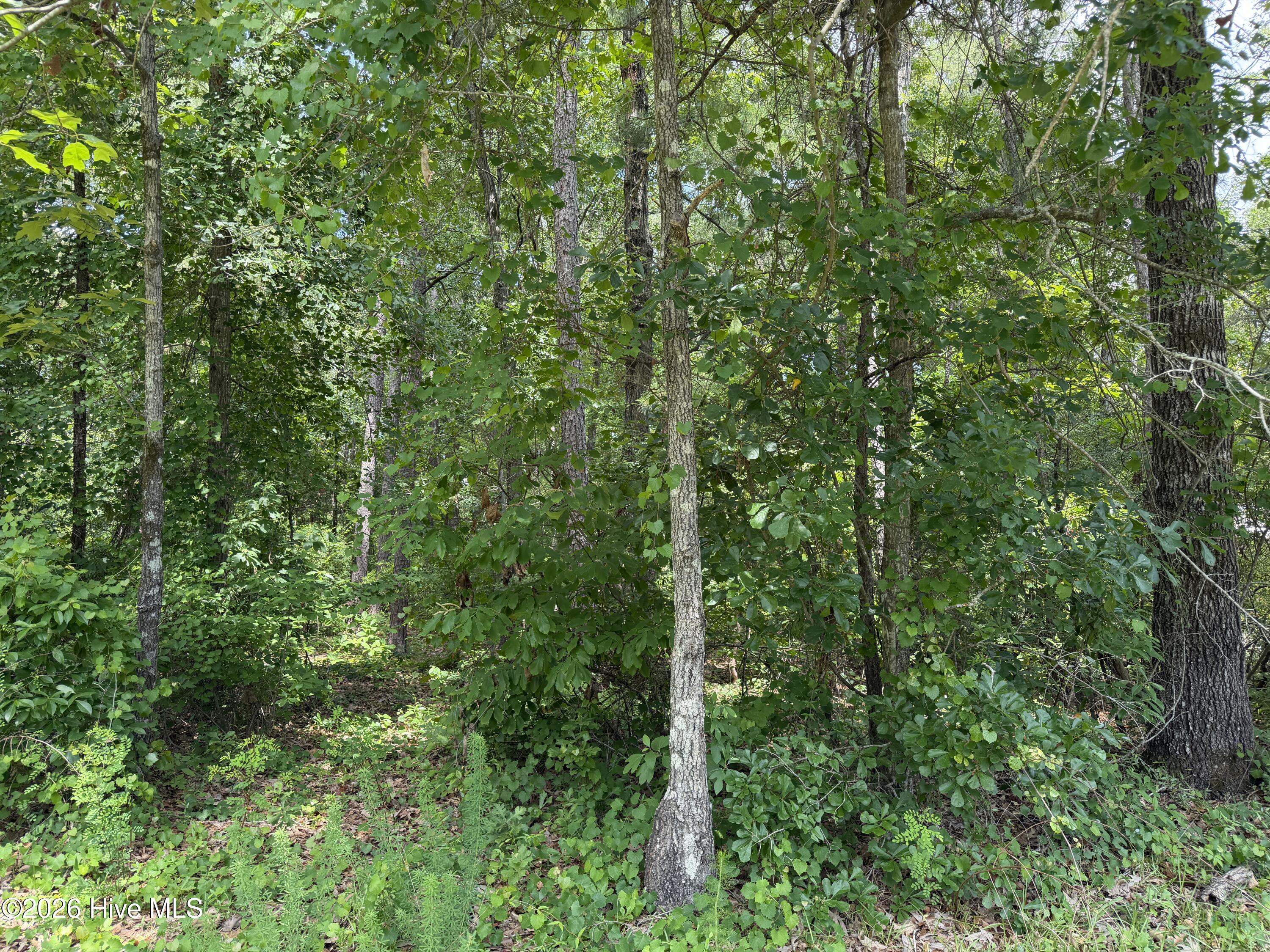 118 66 Ferret Run Lane,New Bern