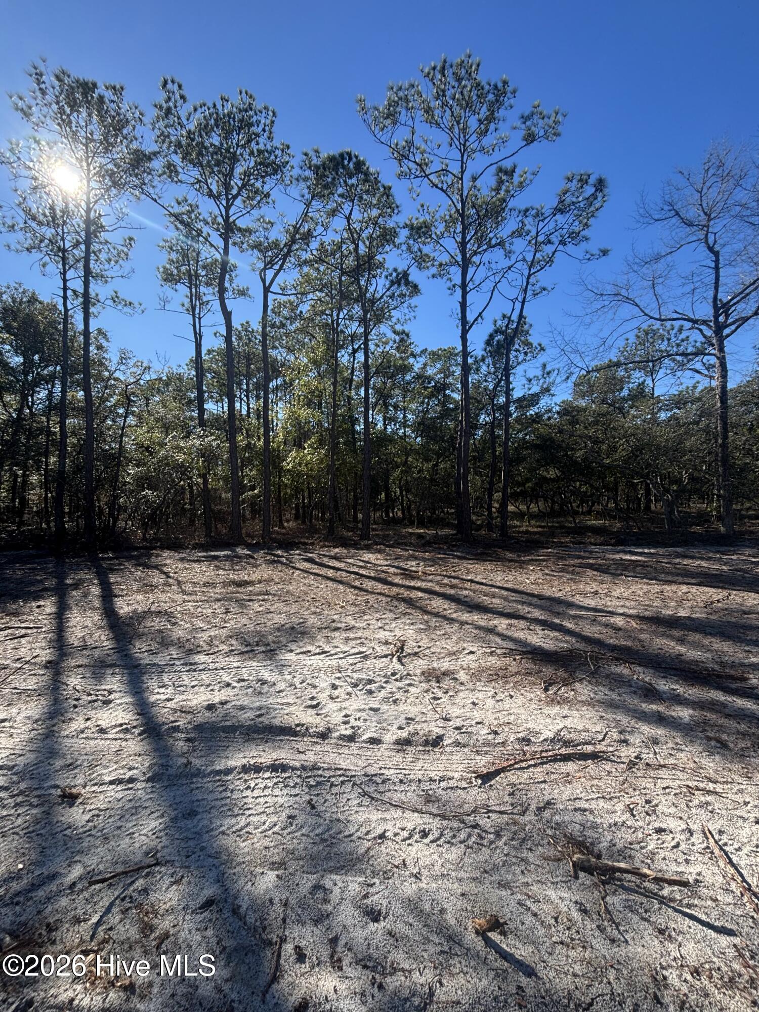 Carolina Barrier Islands