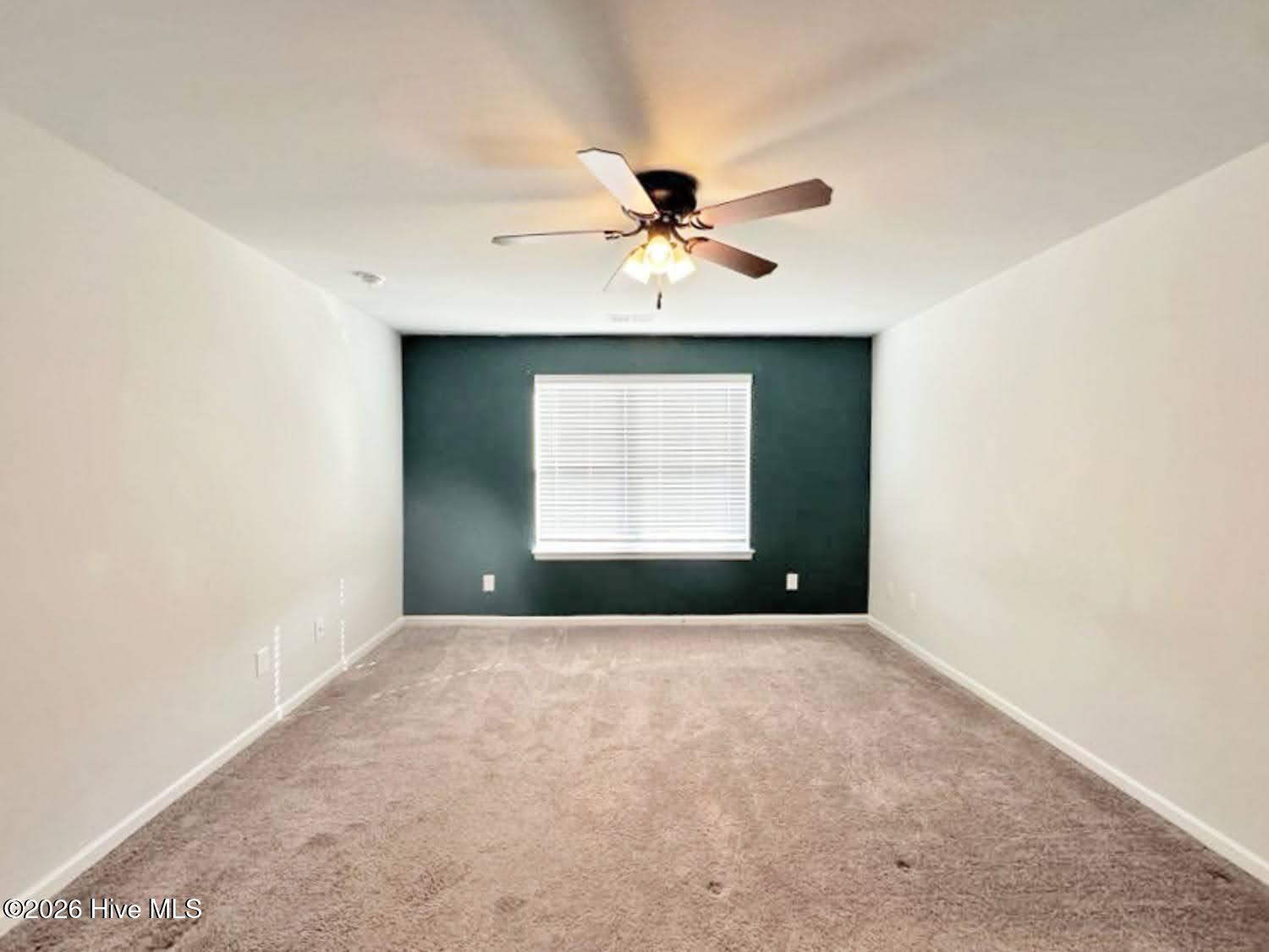 100552647 | Photo 23