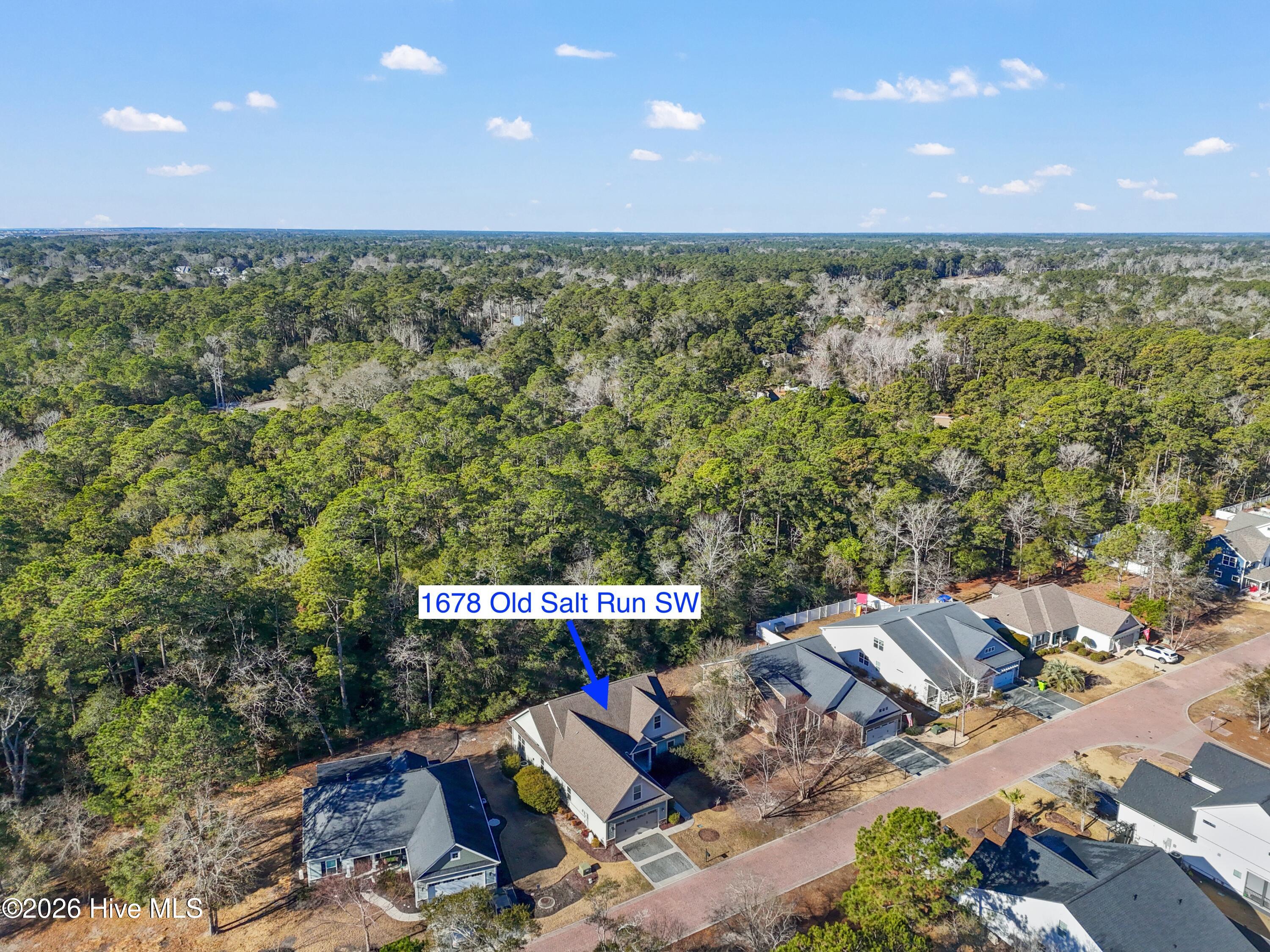 100549174 | Photo 56