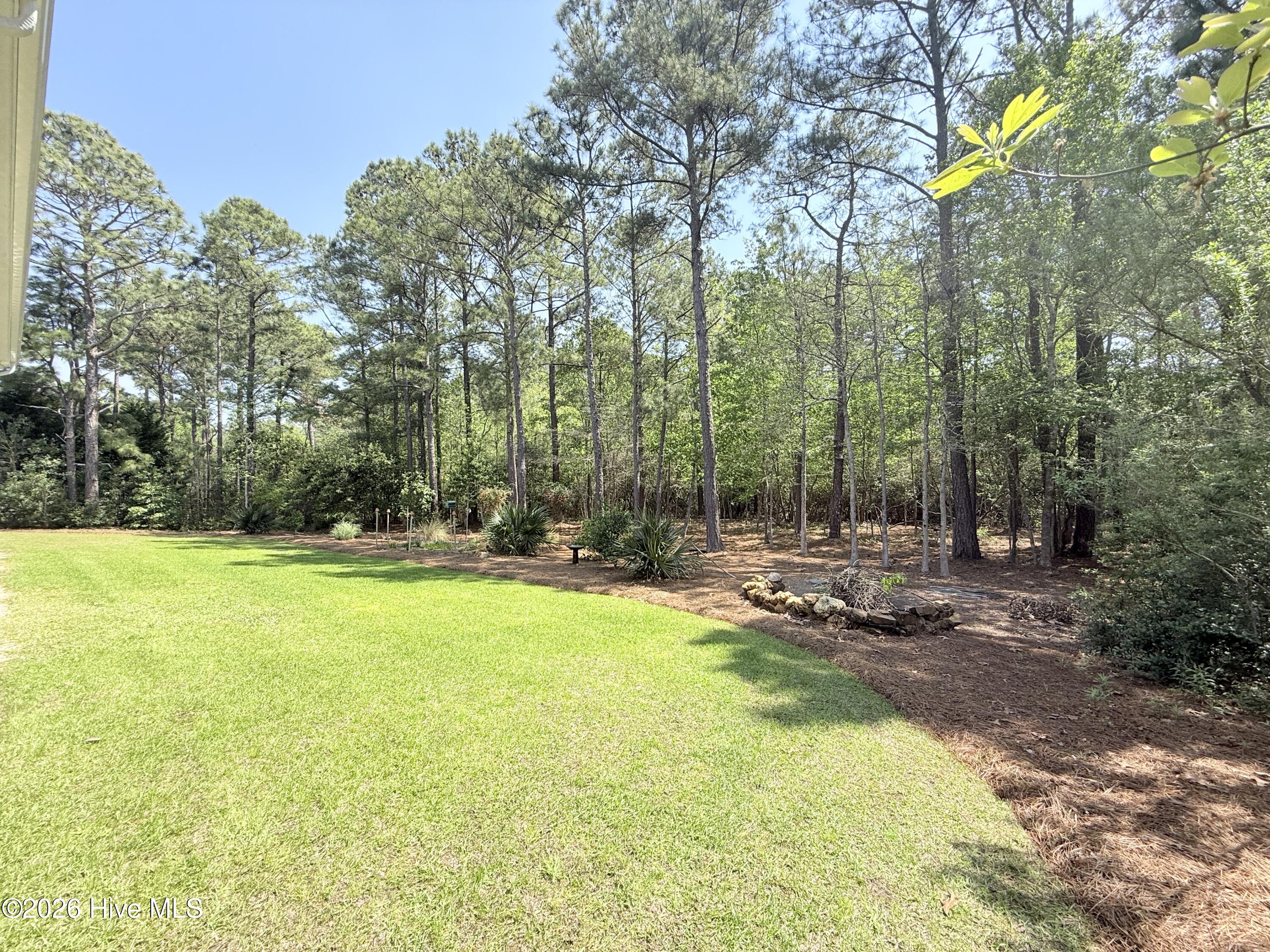 100567886 | Photo 95