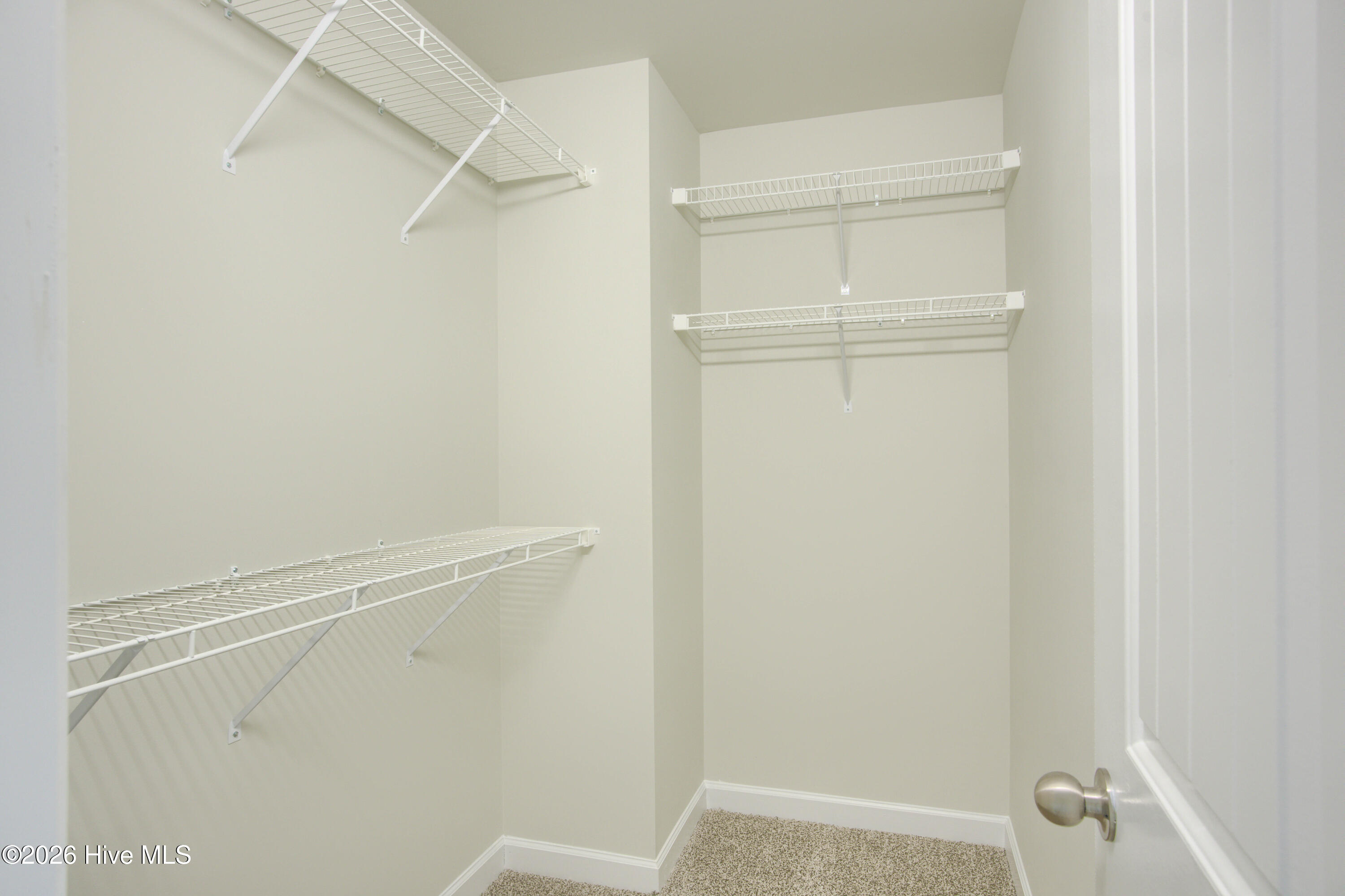 100527723 | Photo 22