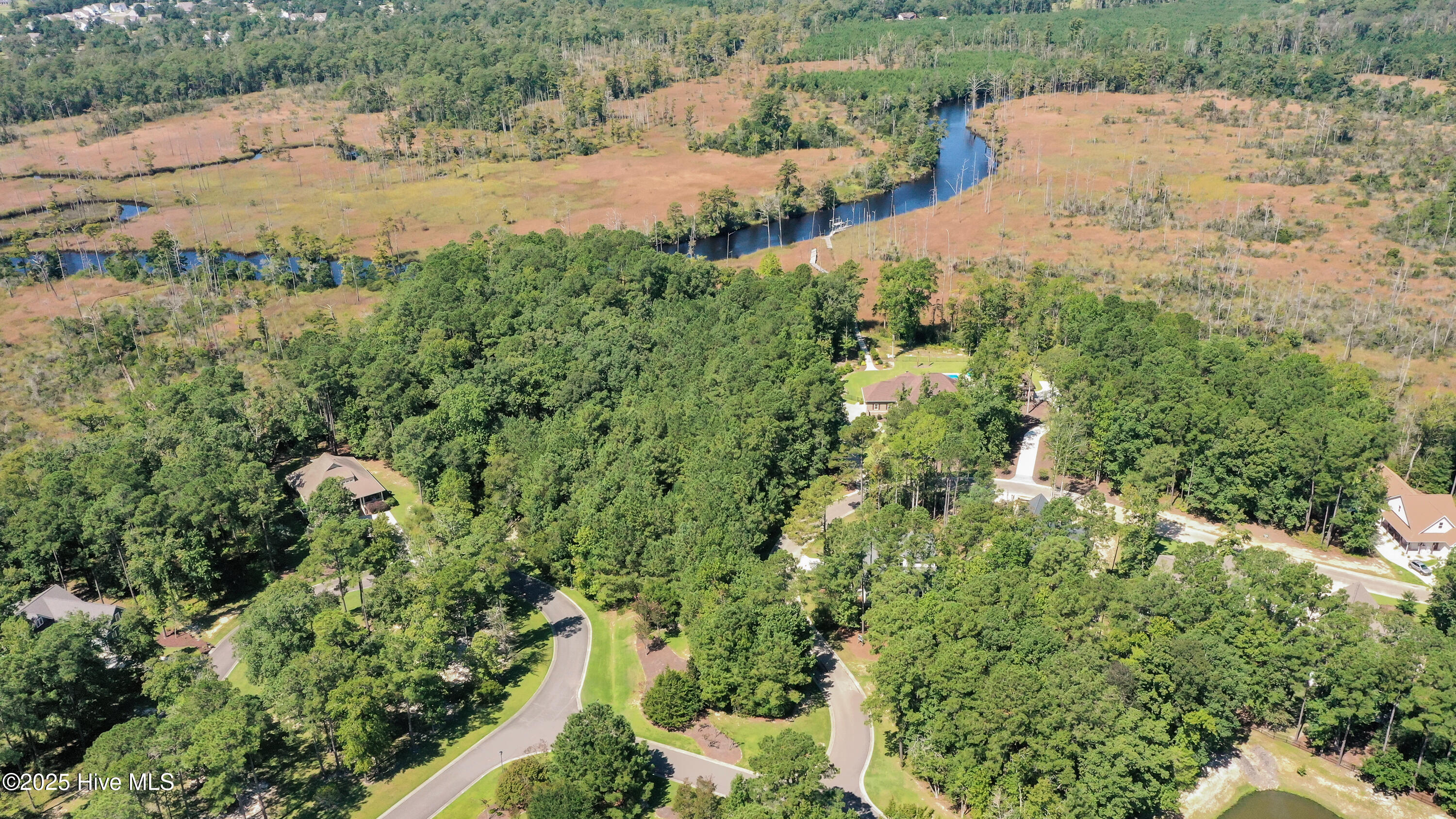 100527669 | Photo 24