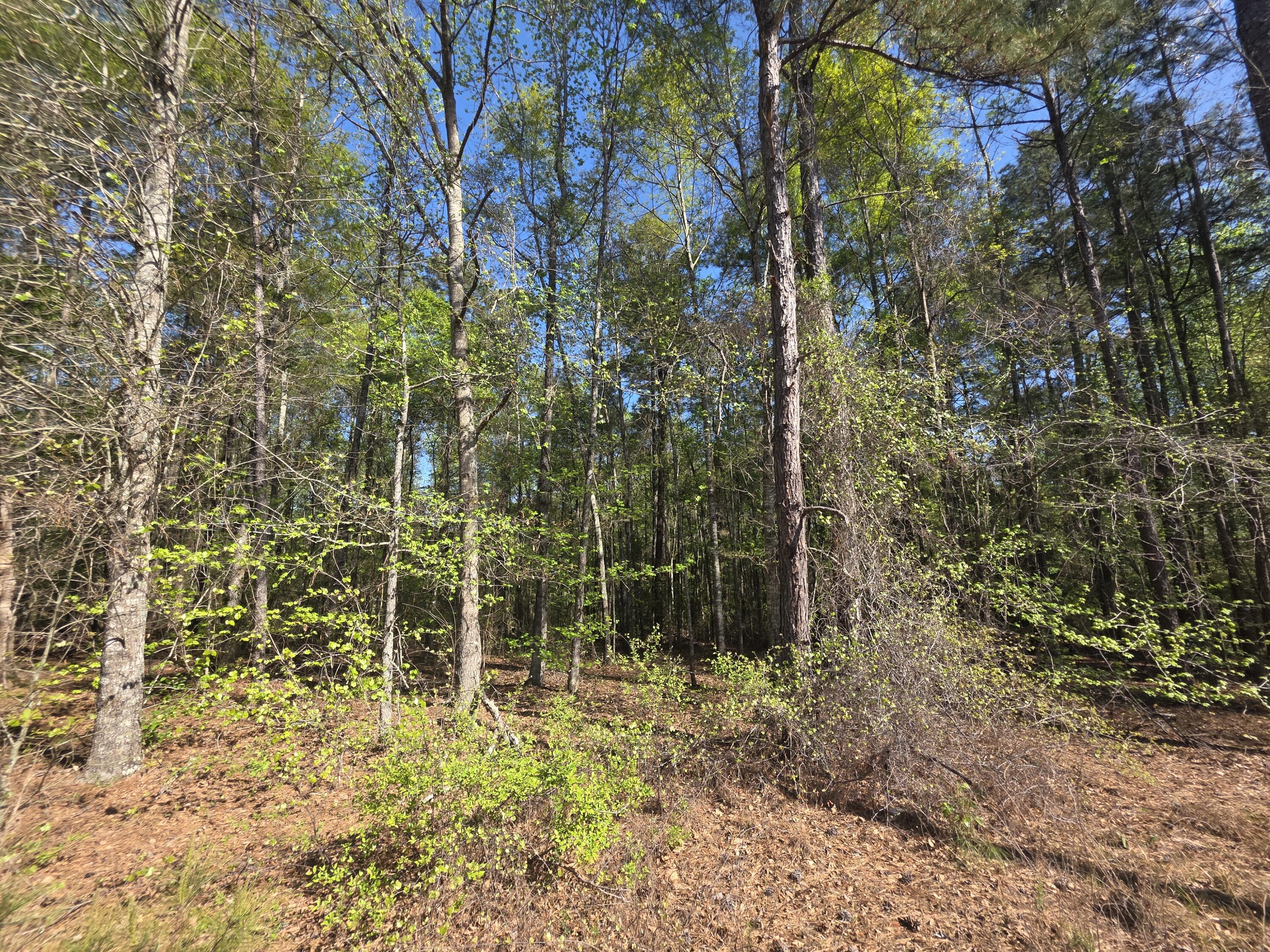 Tract B Georgia 102, Gibson, GA, 30810