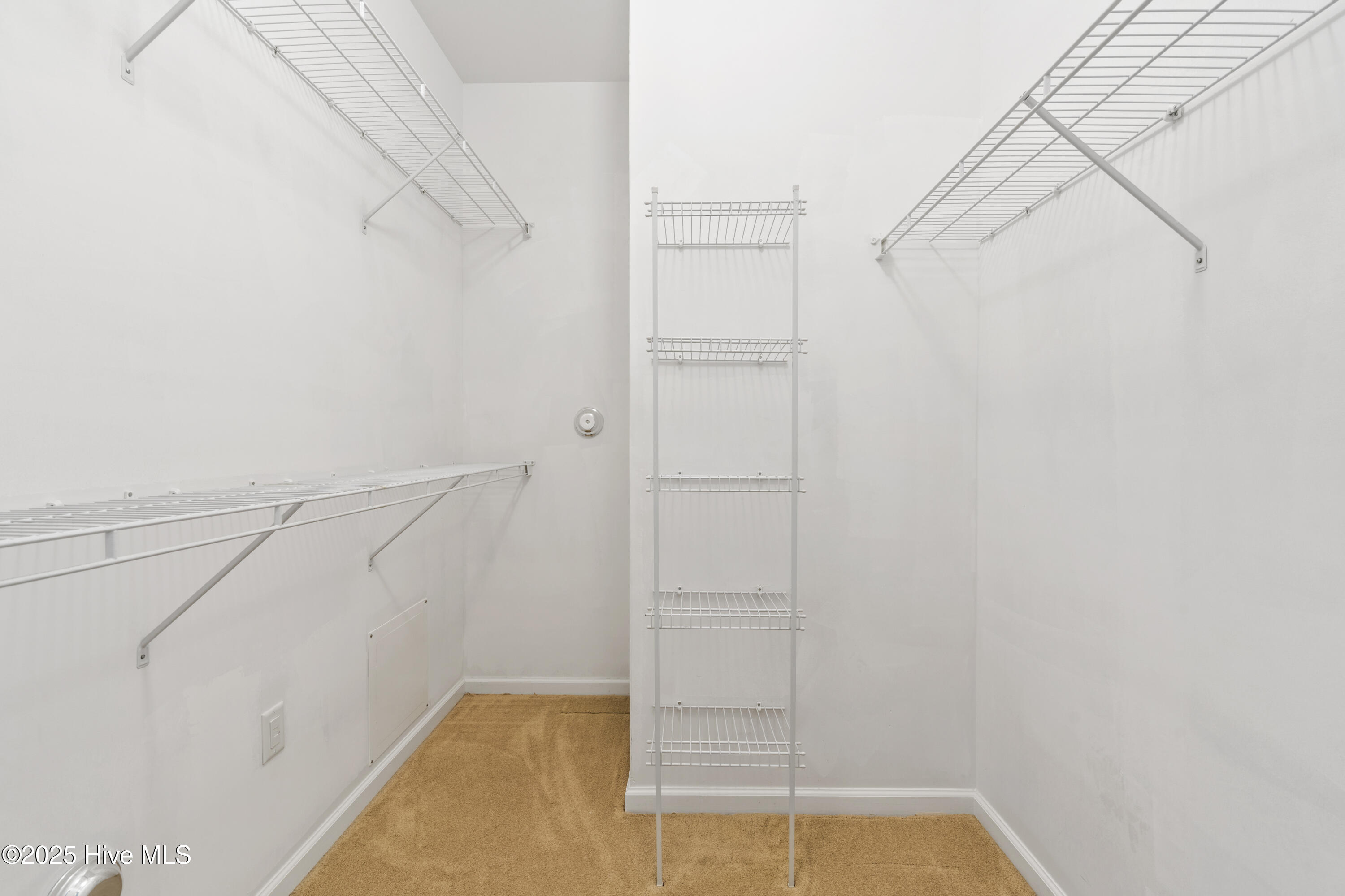 100541442 | Photo 21