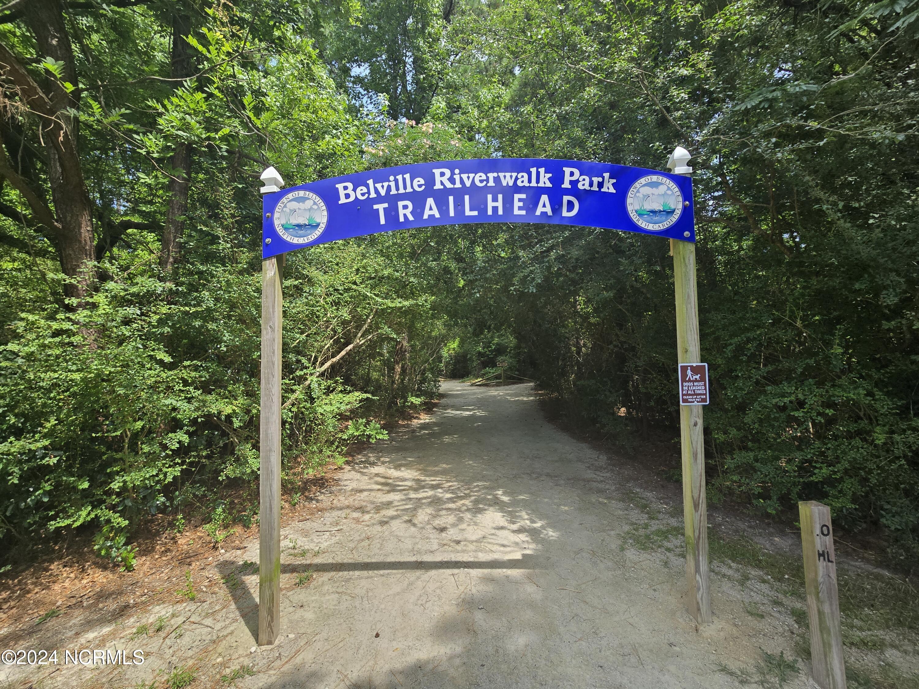 100454389 | Photo 38