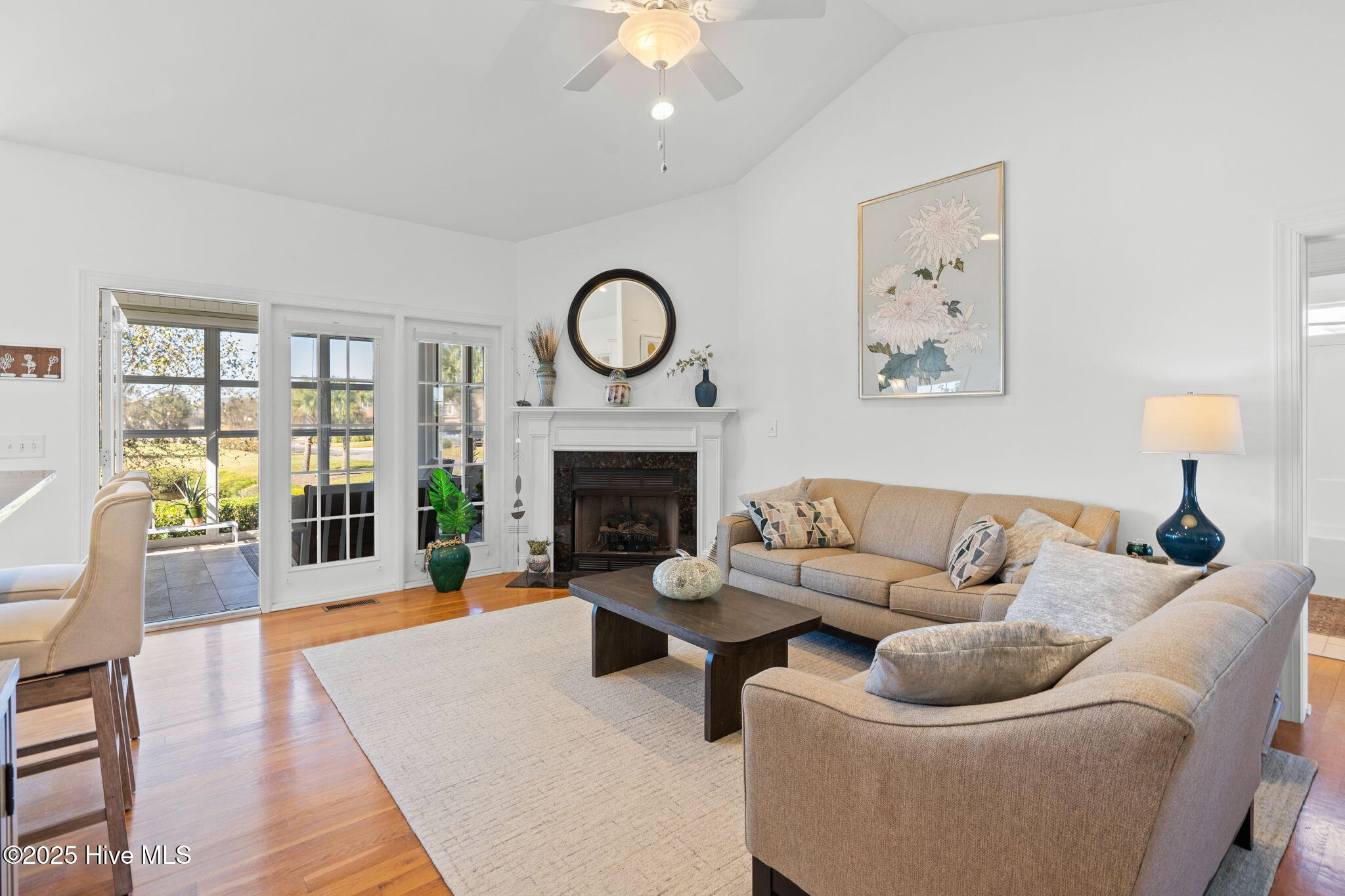 100538091 | Photo 12