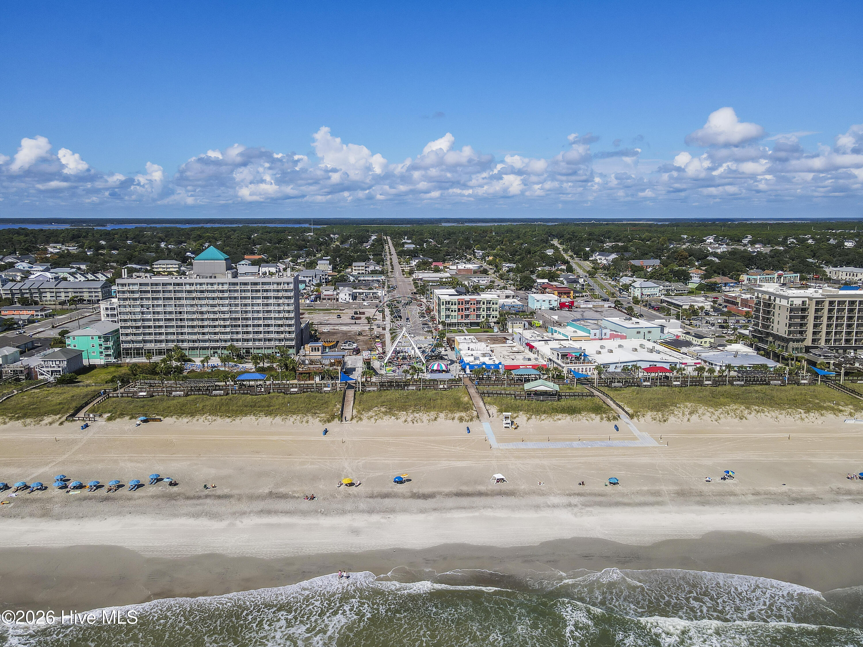 100556475 | Photo 49