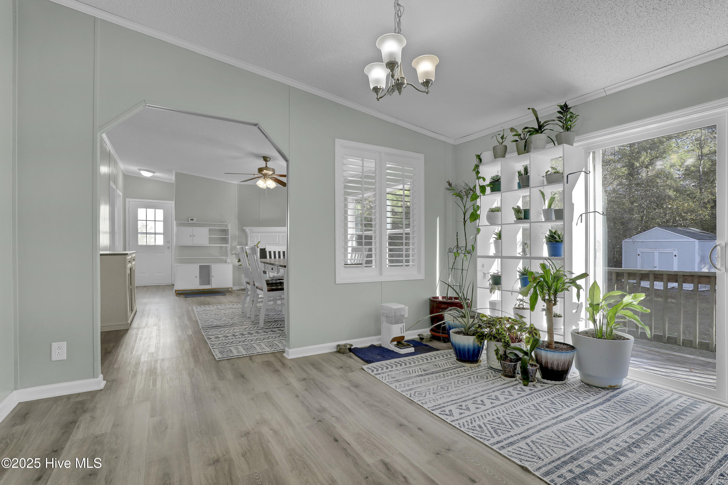 100550693 | Photo 12