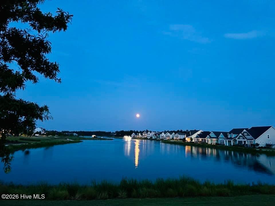 100560299 | Photo 139