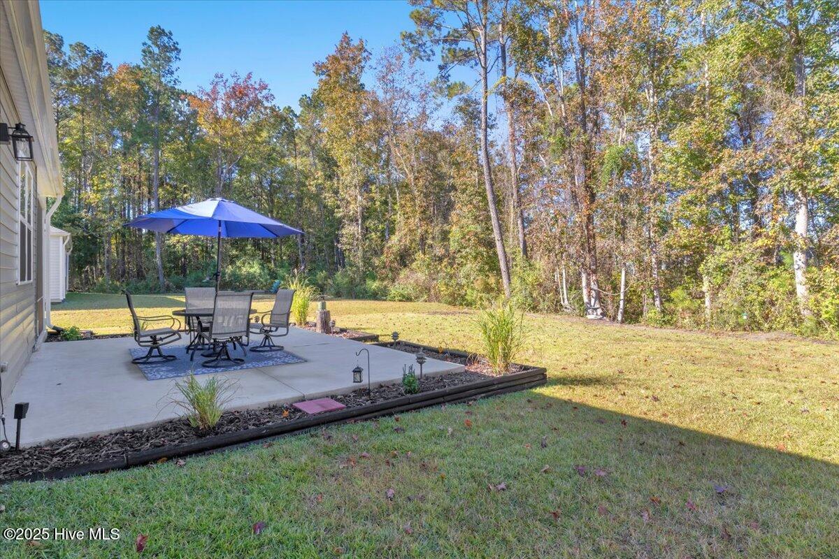 100539995 | Photo 49