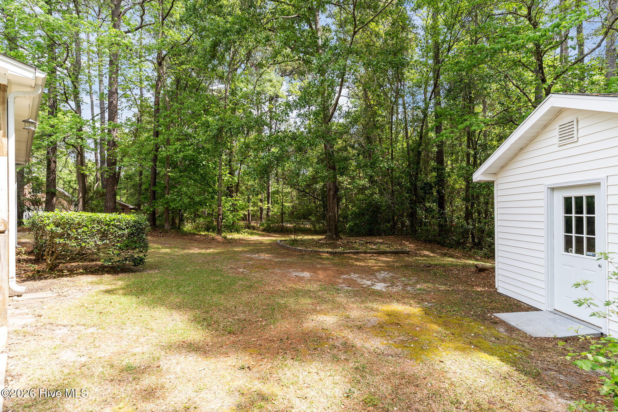 100568125 | Photo 42