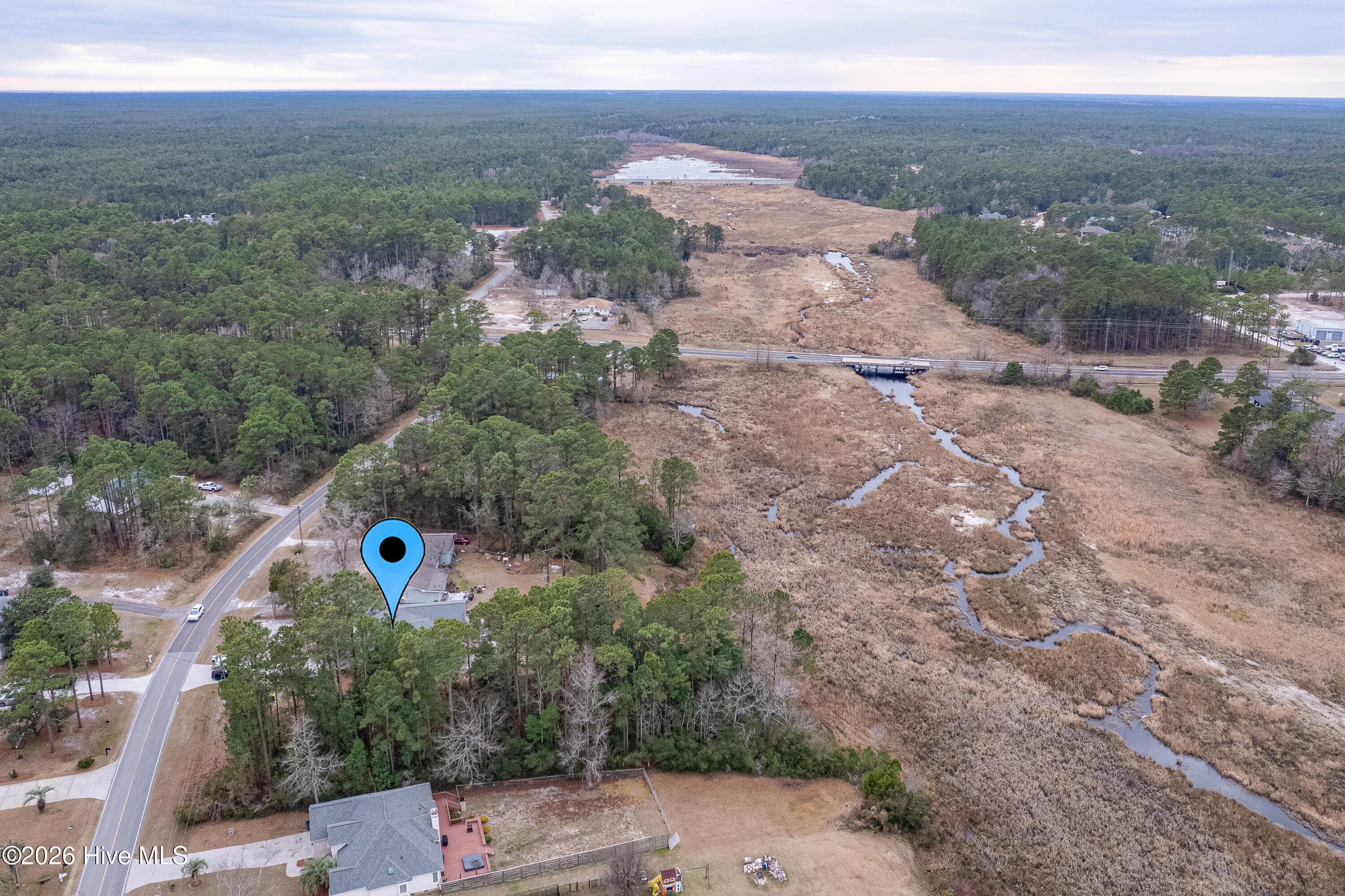 100551120 | Photo 39