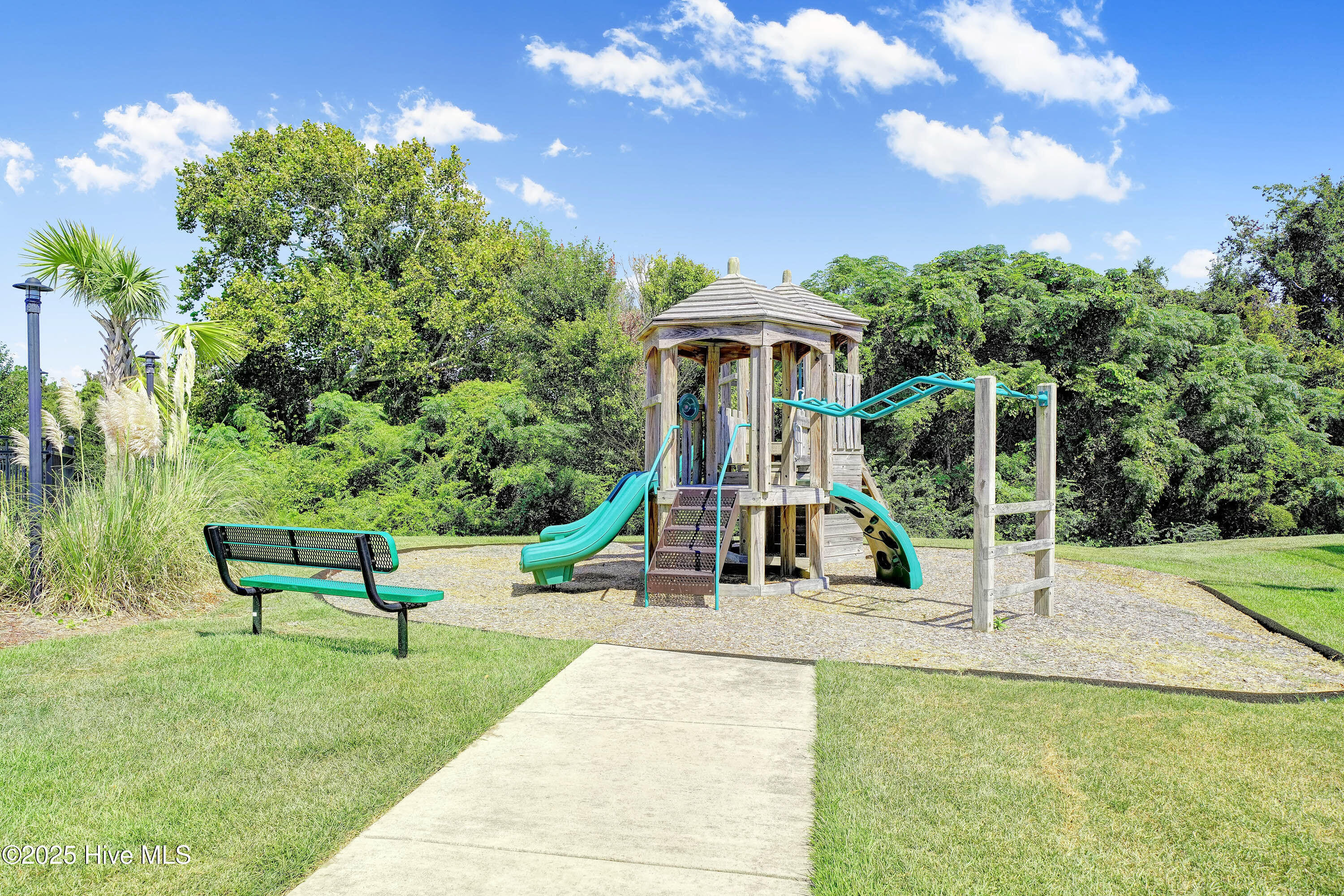 100537515 | Photo 18