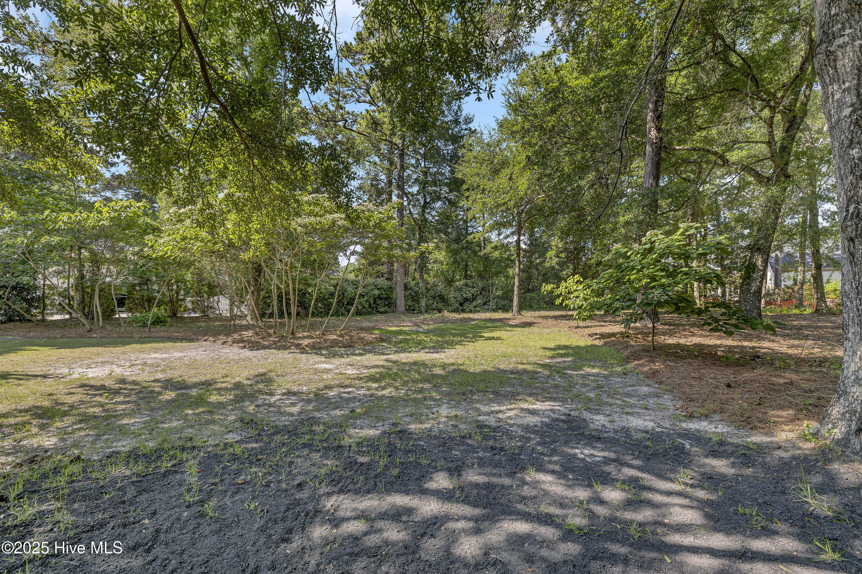 100516231 | Photo 54