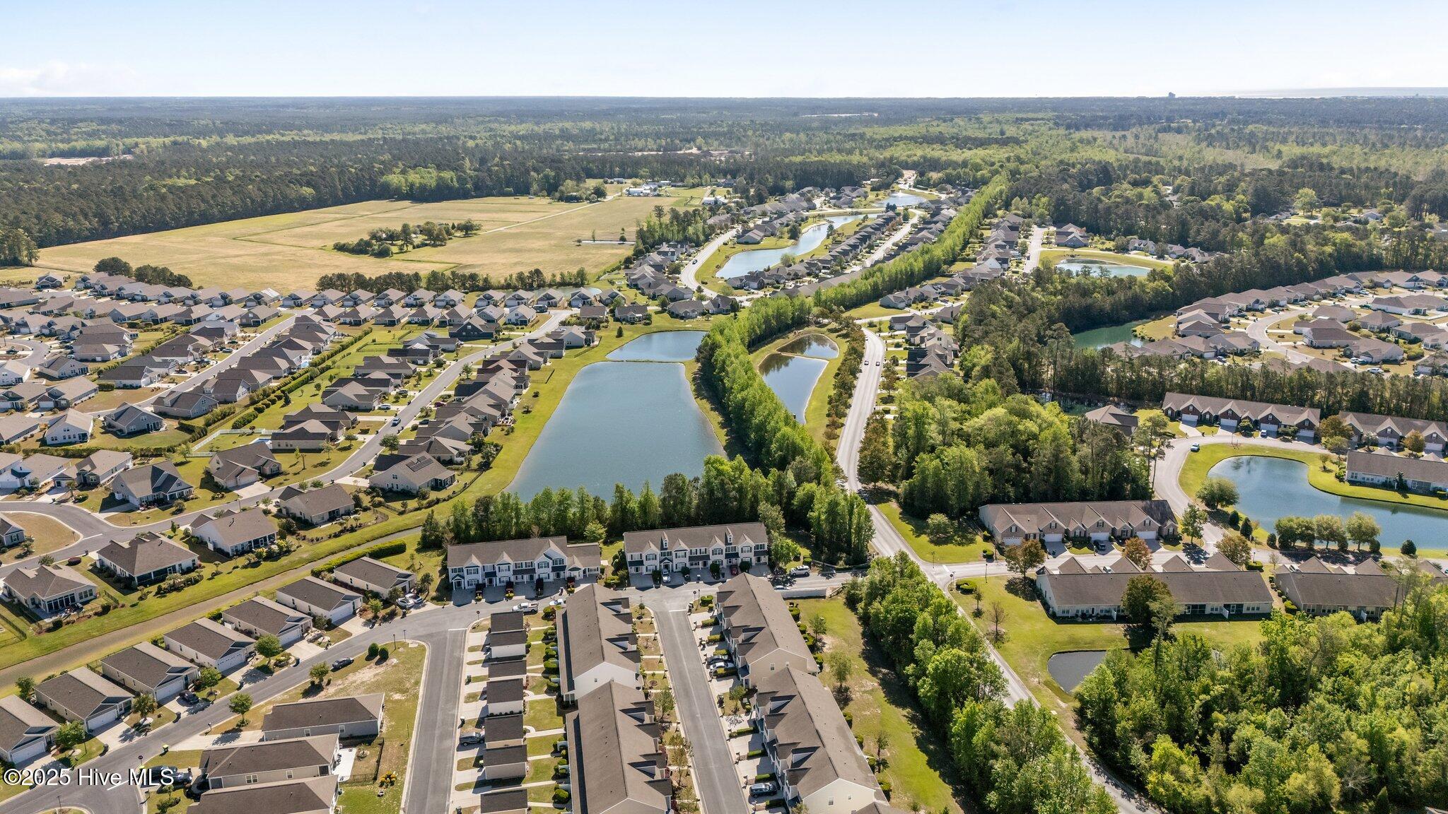 100502456 | Photo 44