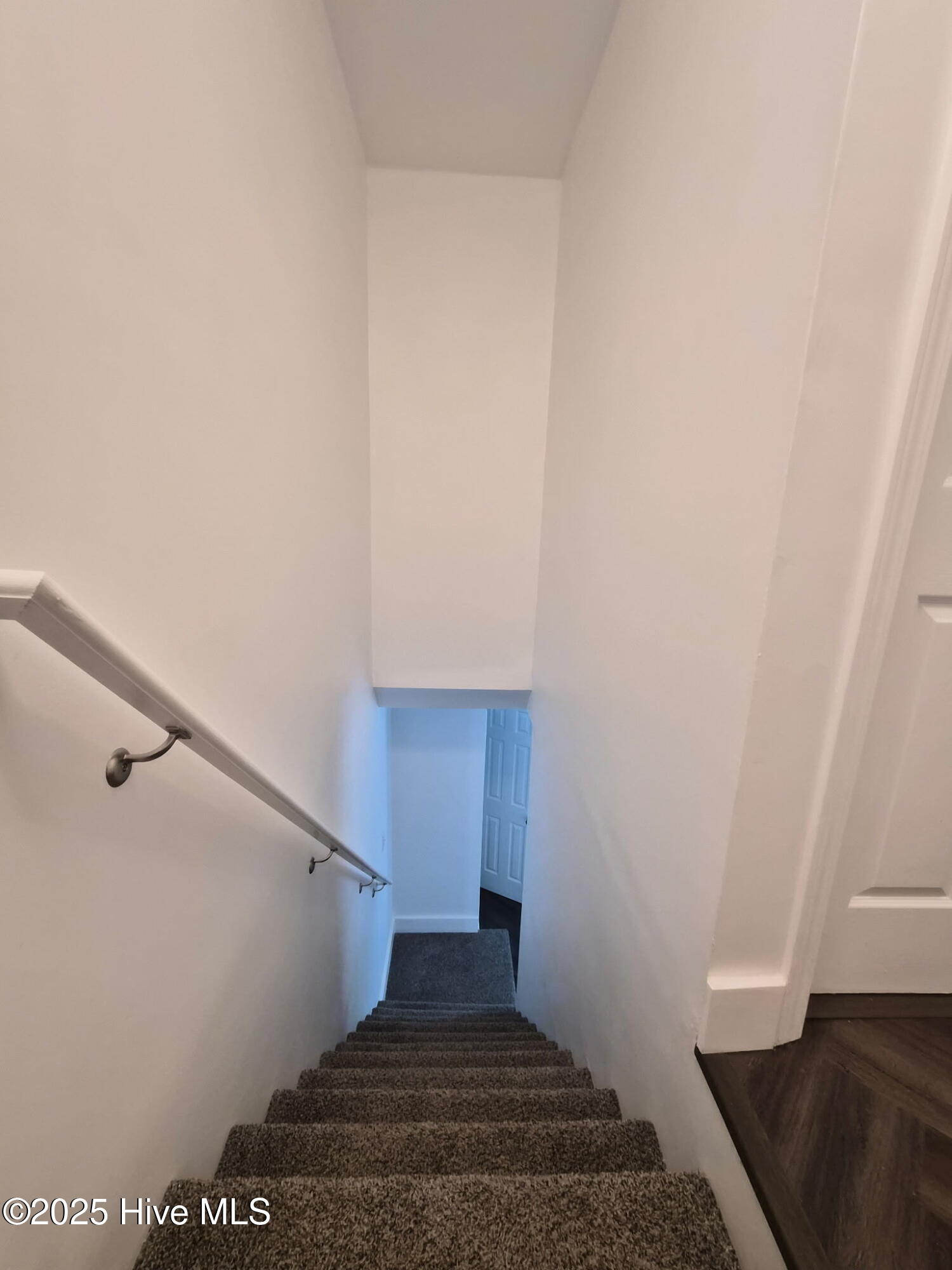 100539723 | Photo 22