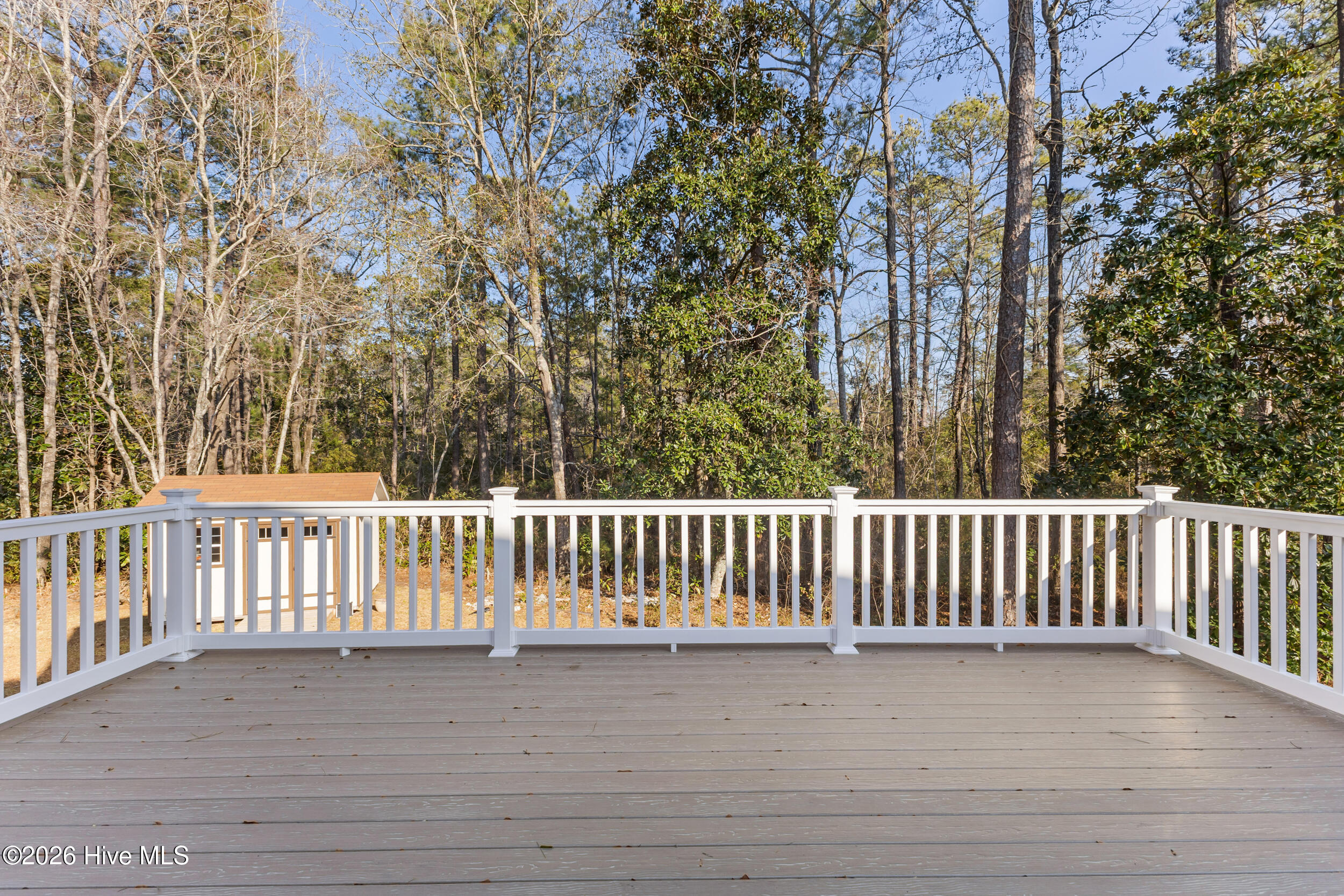 100553711 | Photo 26