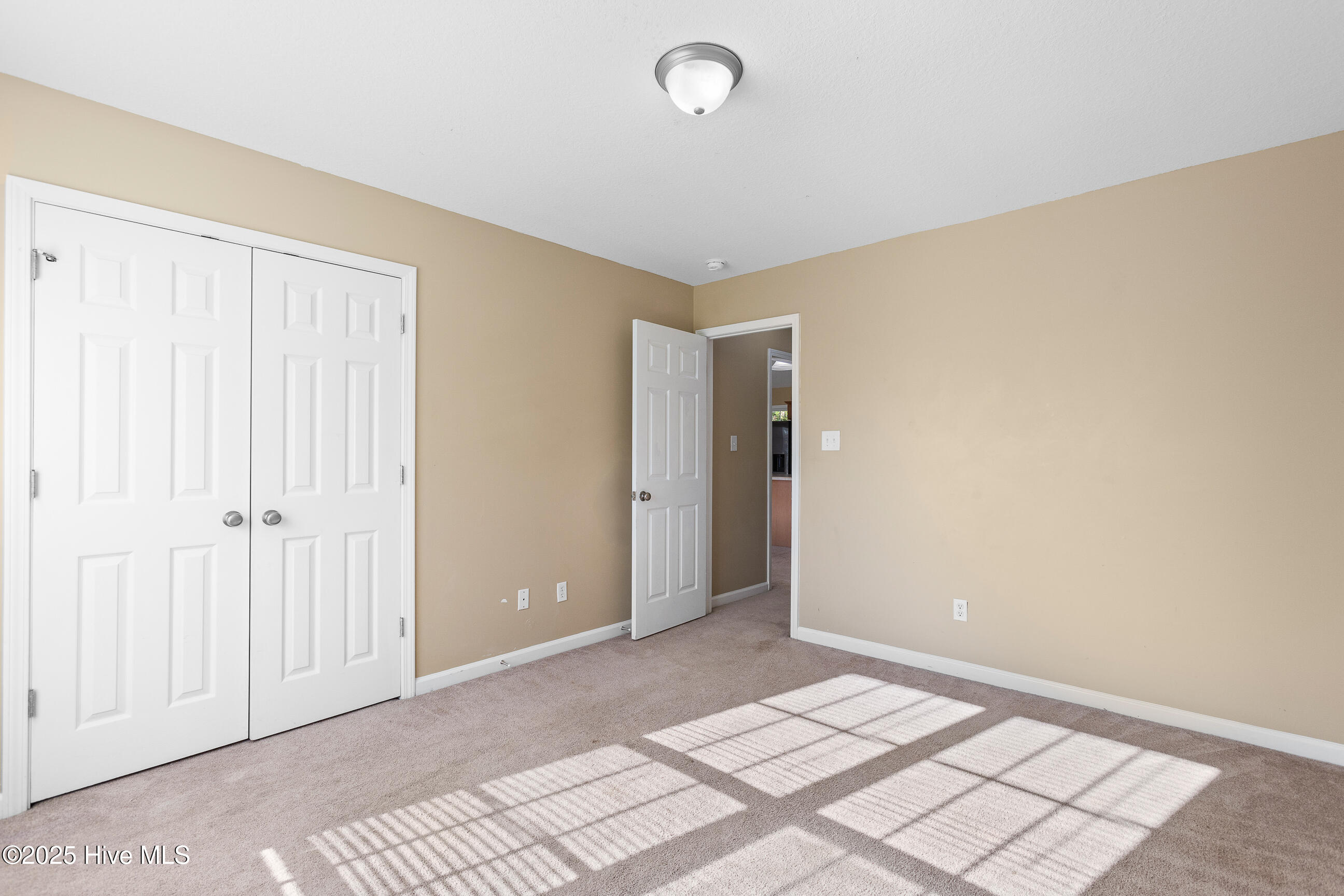 100541118 | Photo 16