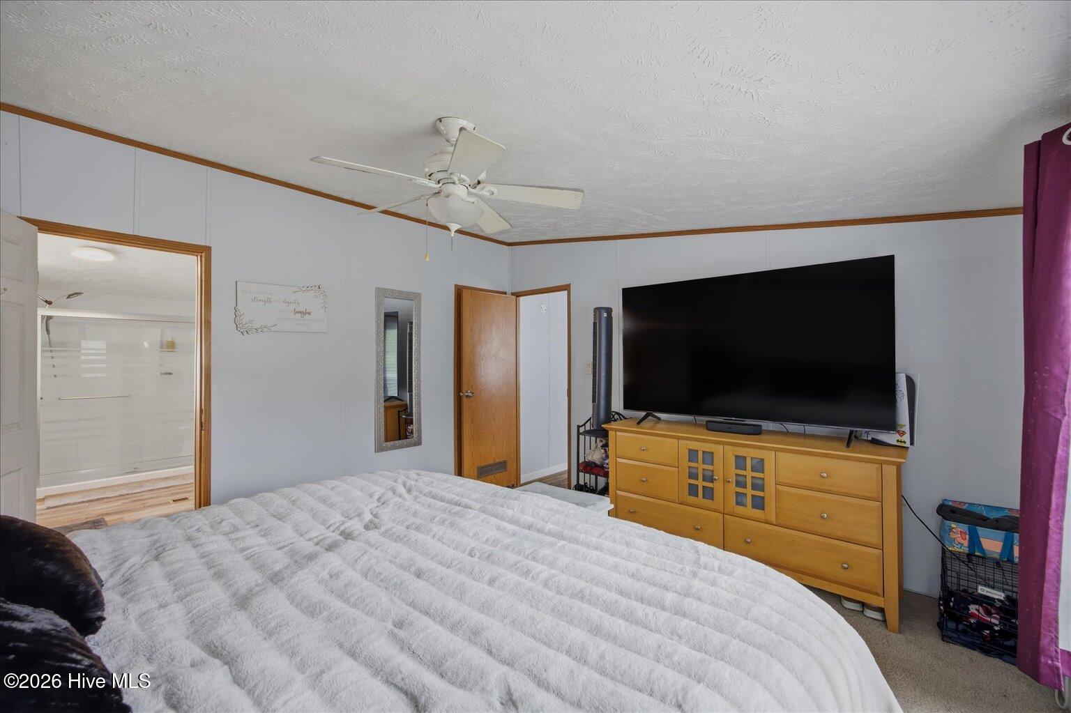 100556219 | Photo 13