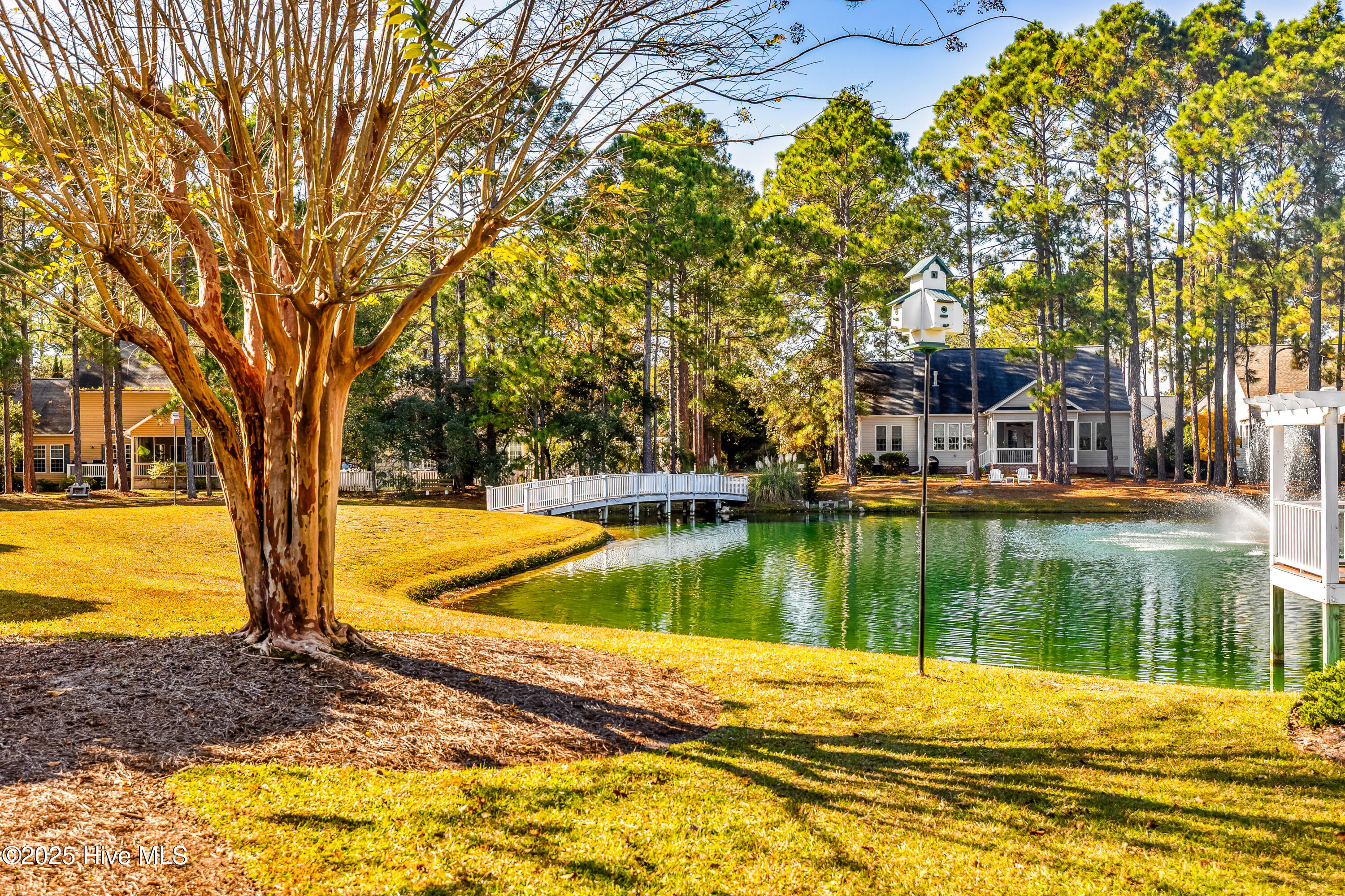 100540432 | Photo 42