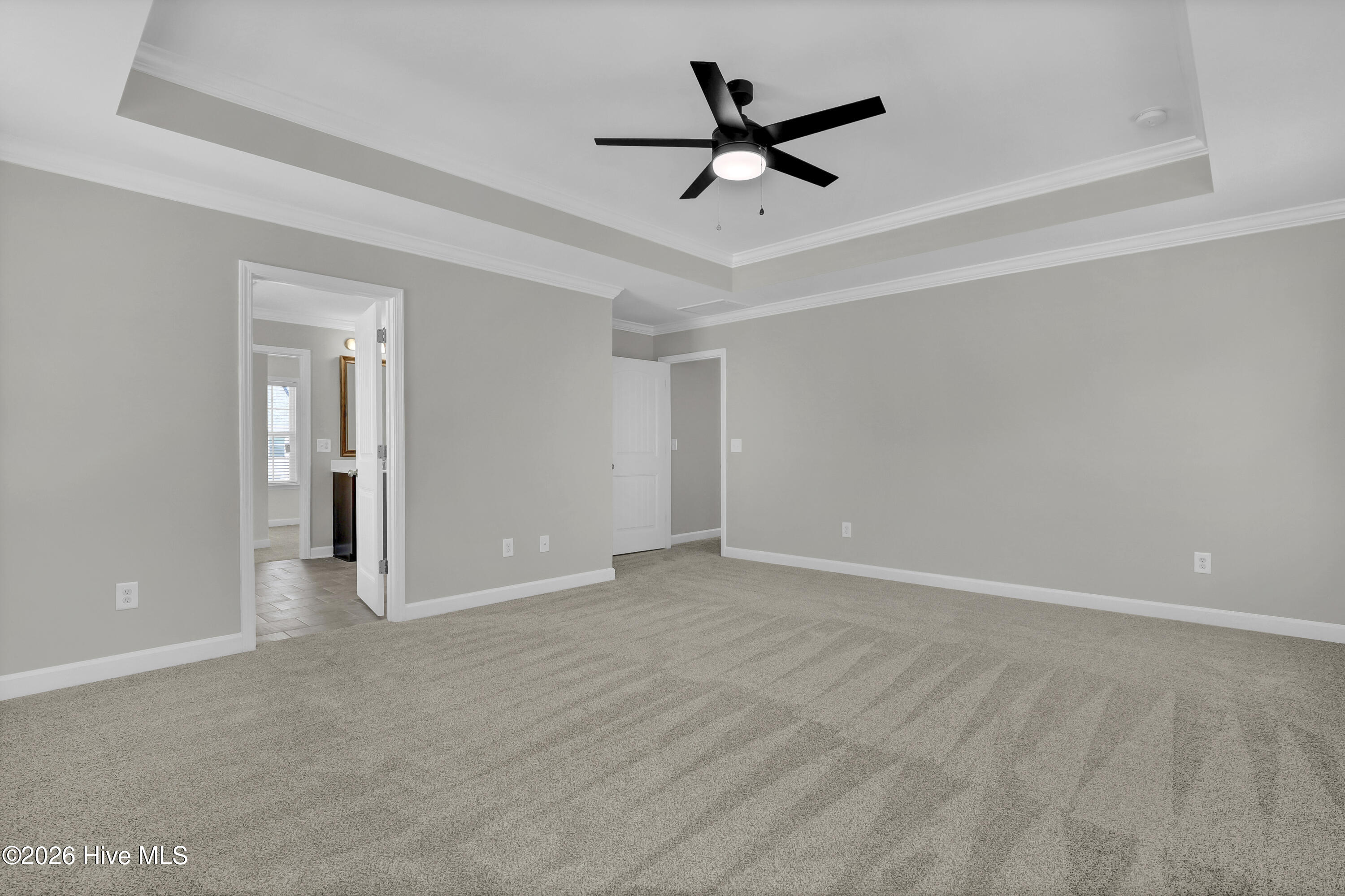 100556478 | Photo 24