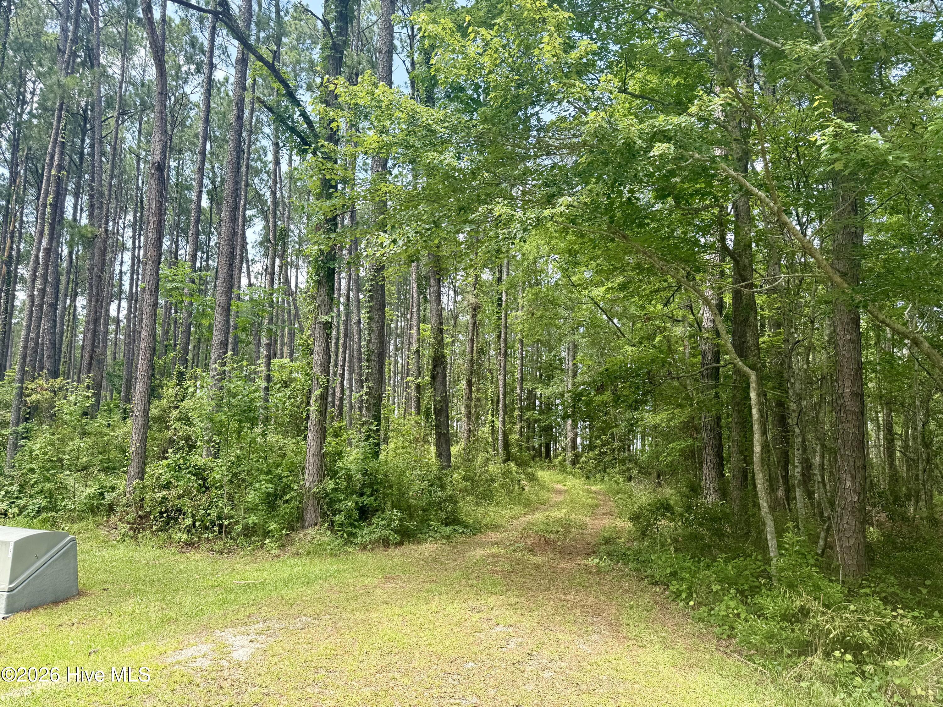 558 Sandy Point 