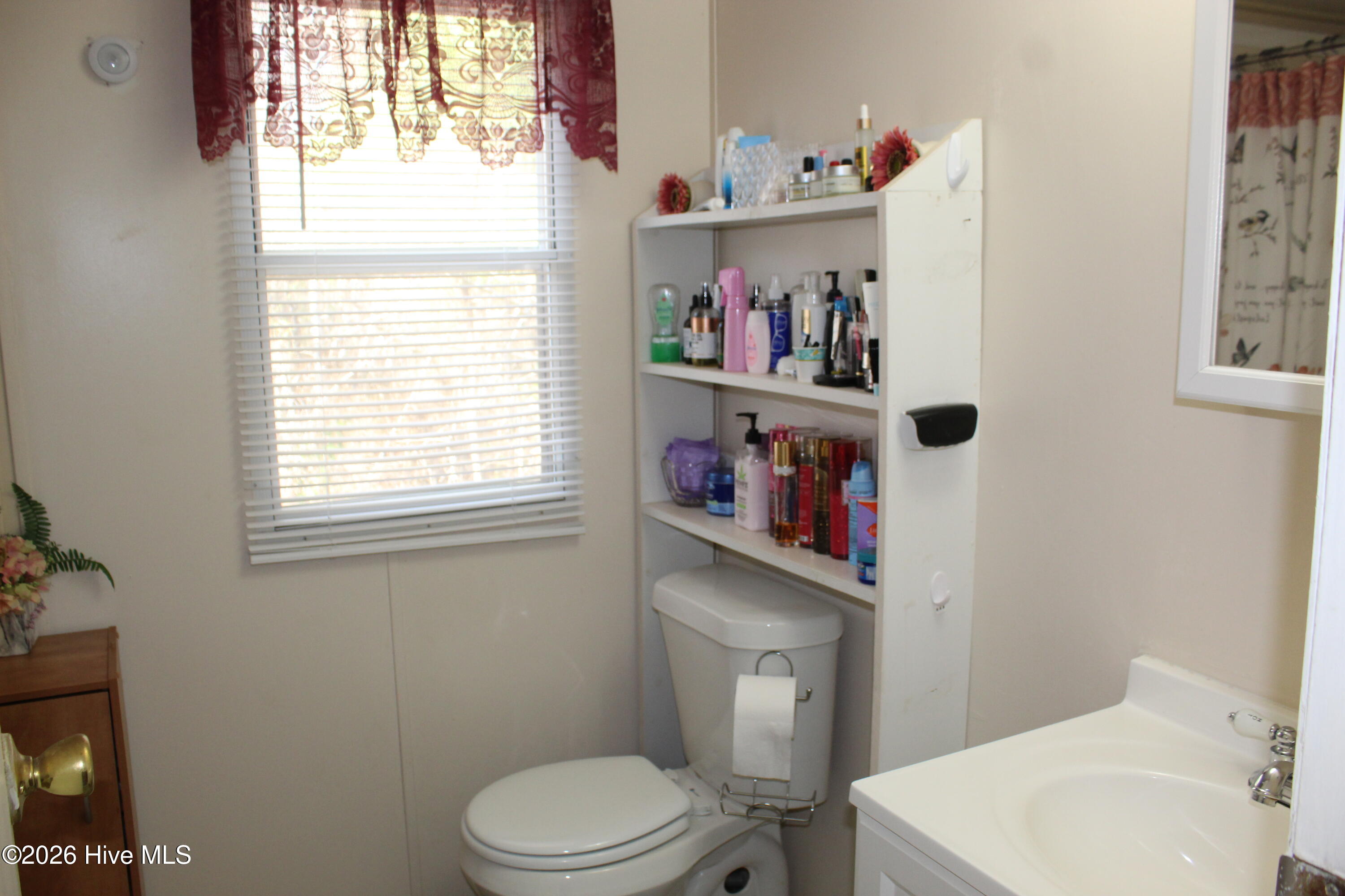 100527768 | Photo 16