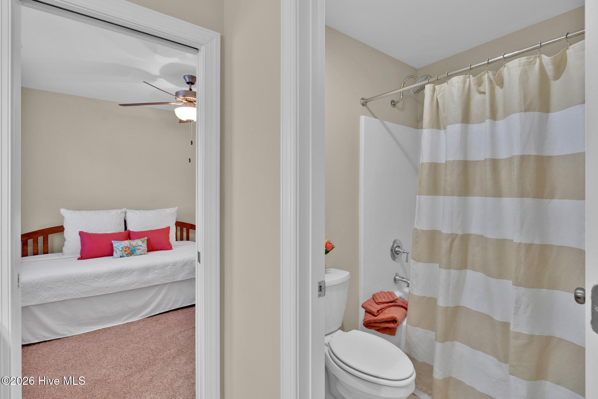 100556284 | Photo 33