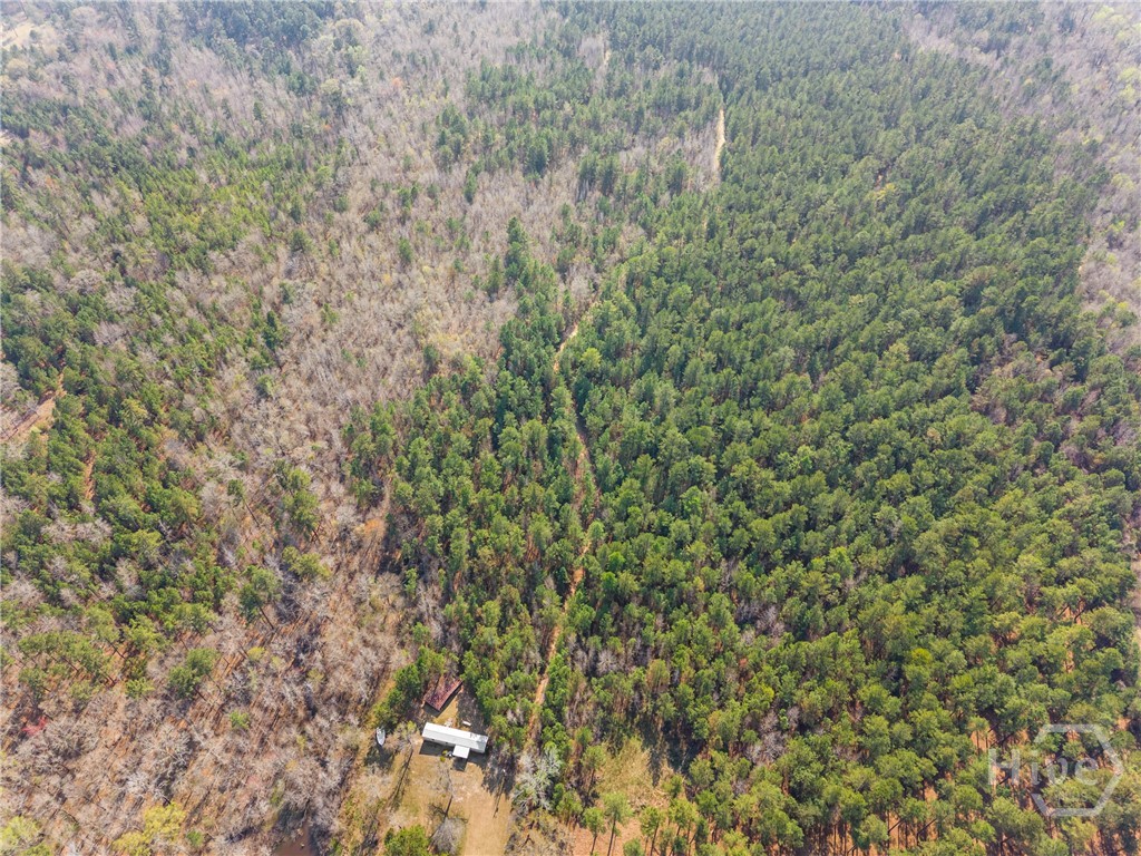 3127 Buttermilk, Sylvania, GA, 30467