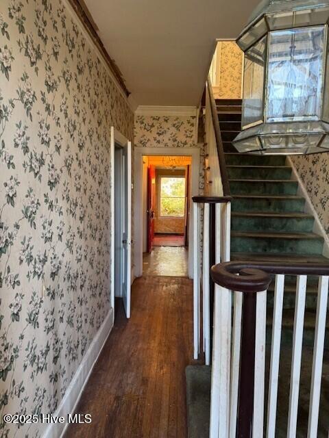 100508665 | Photo 13