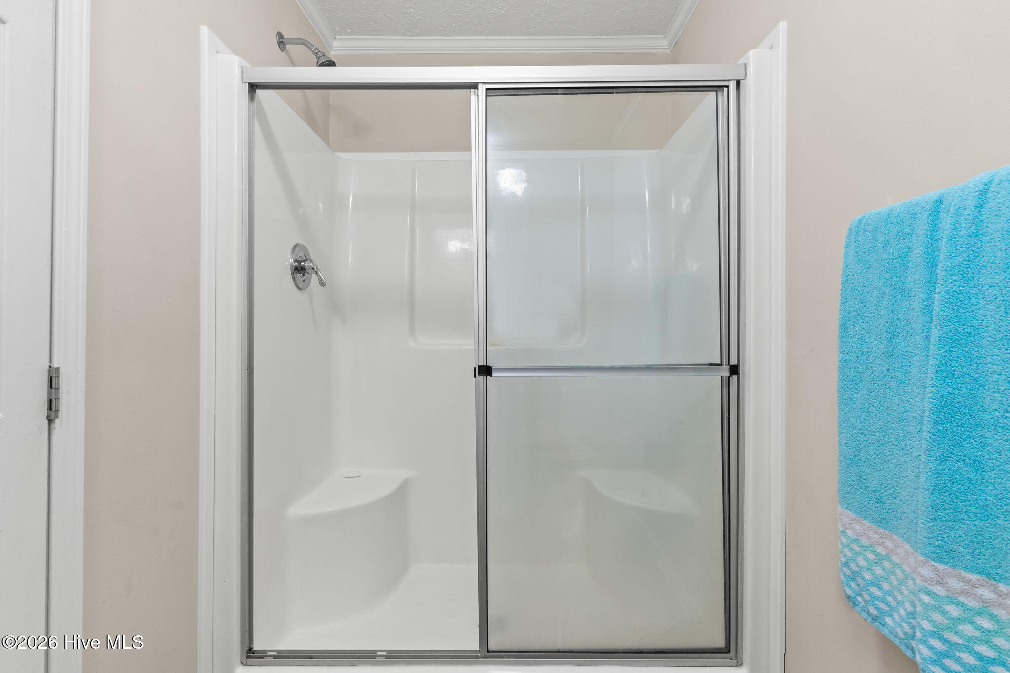 100567854 | Photo 15