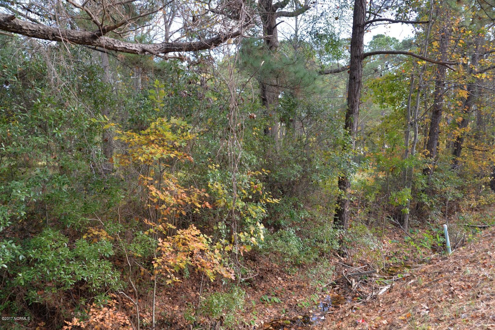 100492321 | Photo 16