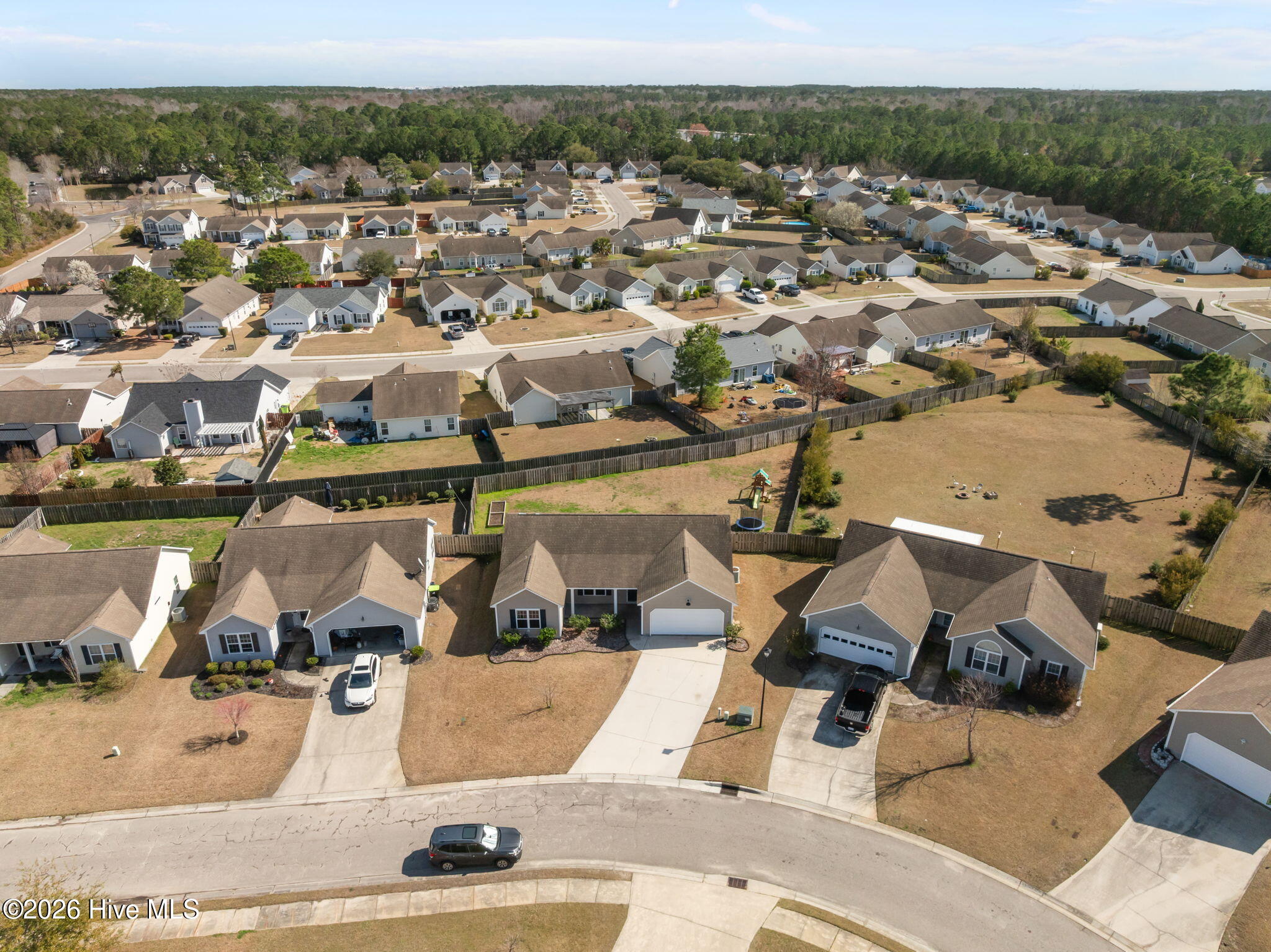 100558999 | Photo 53