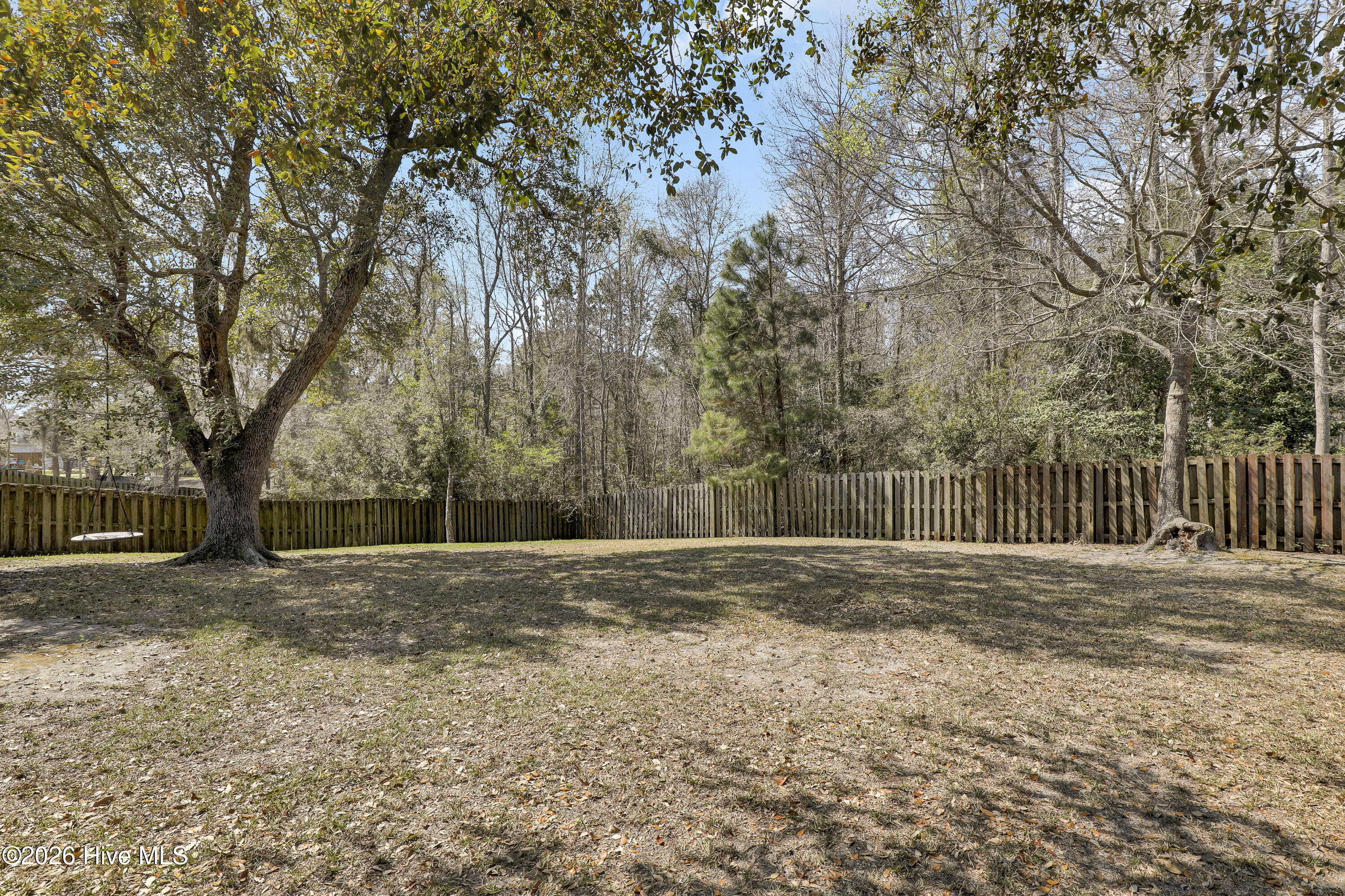 100556544 | Photo 28