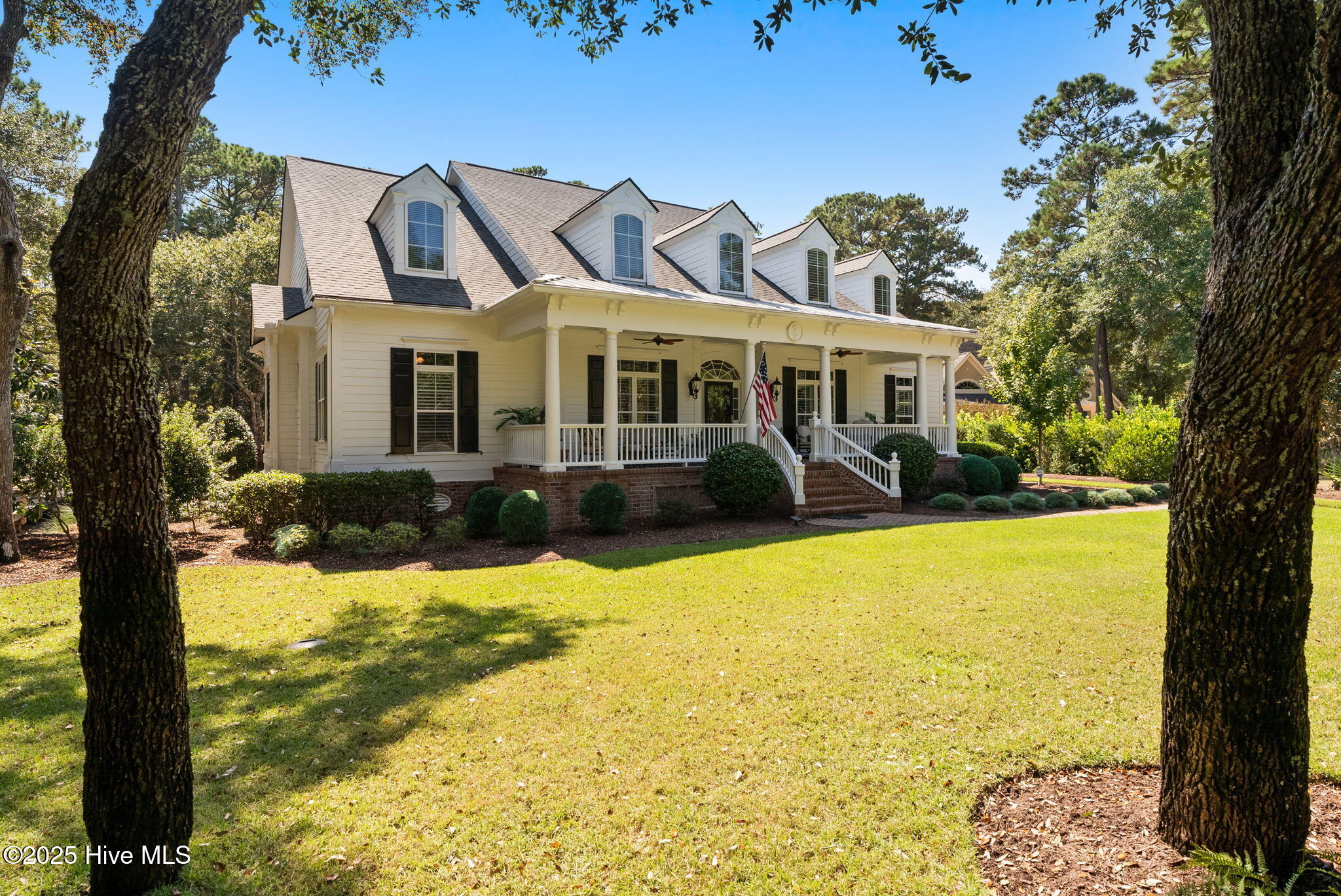 100549580 | Photo 102