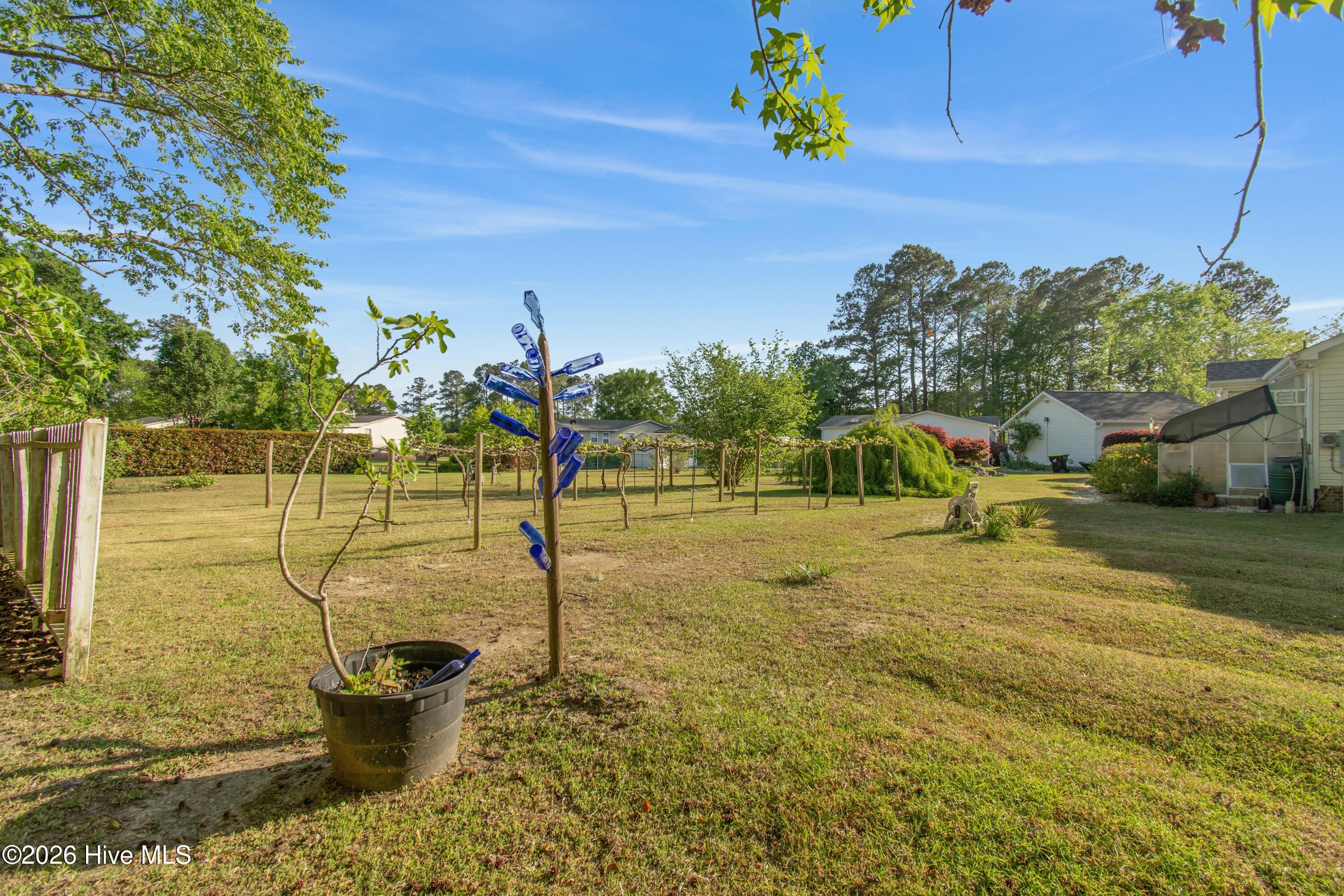 100568231 | Photo 15